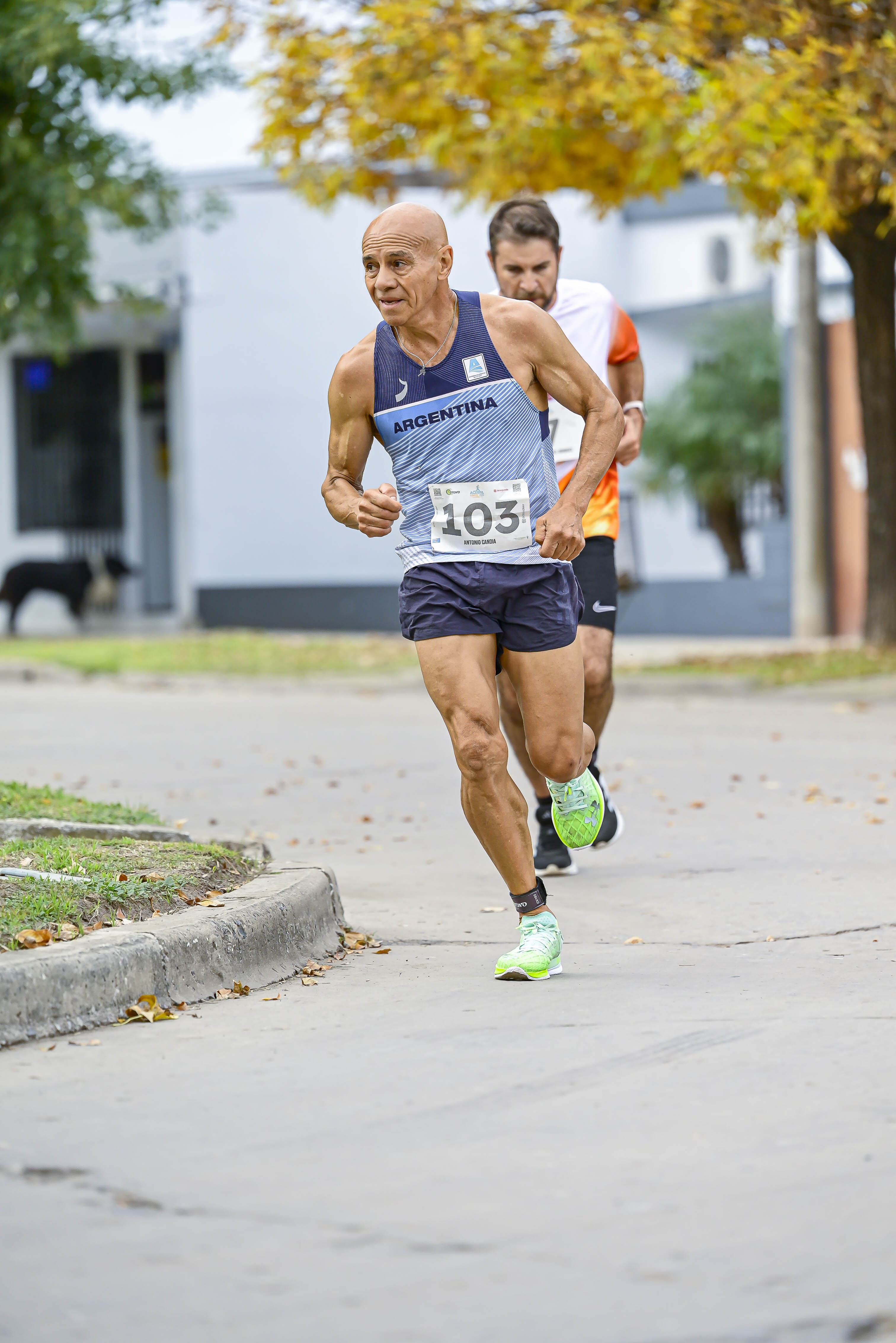 Foto Dorsal 103