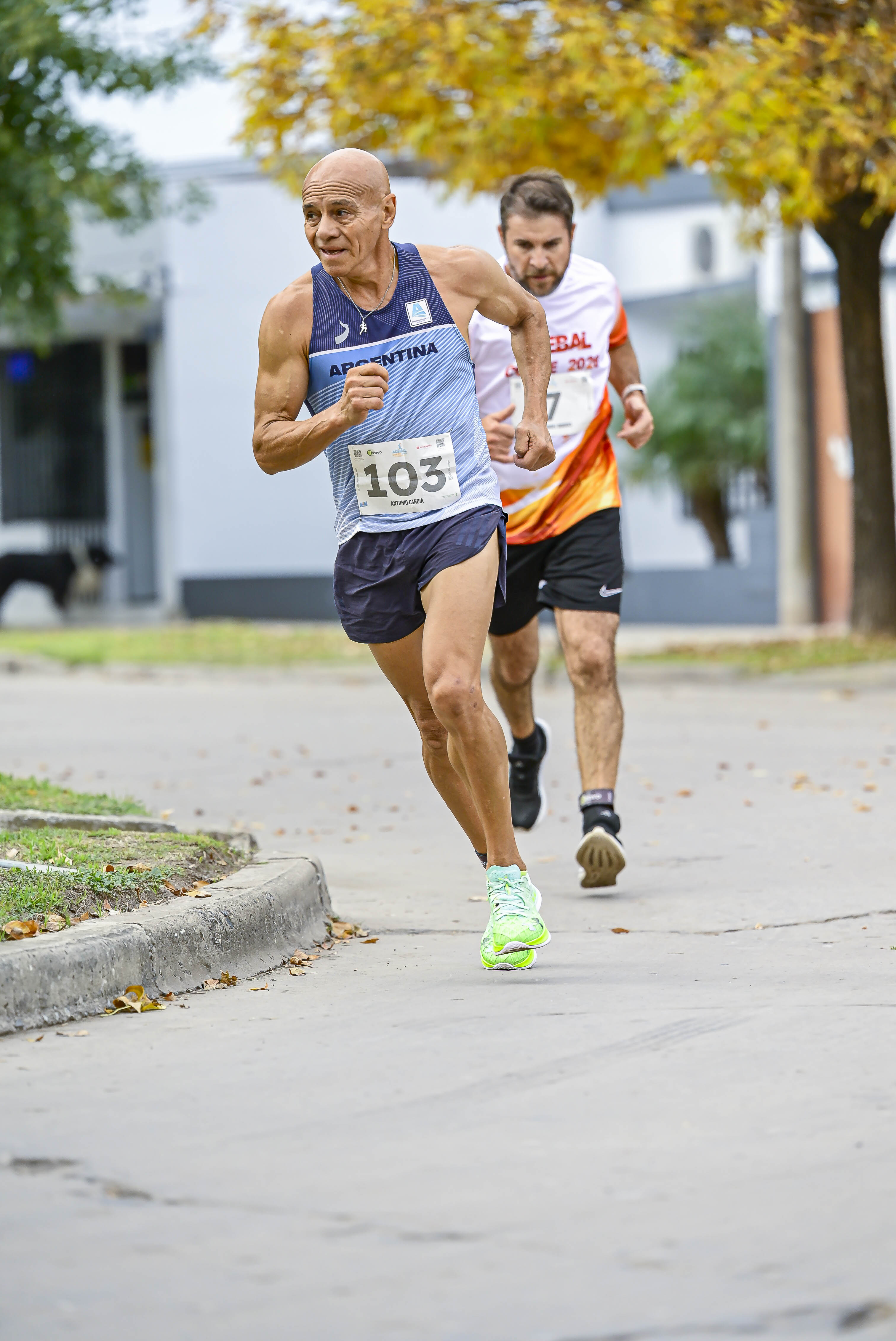 Foto Dorsal 103