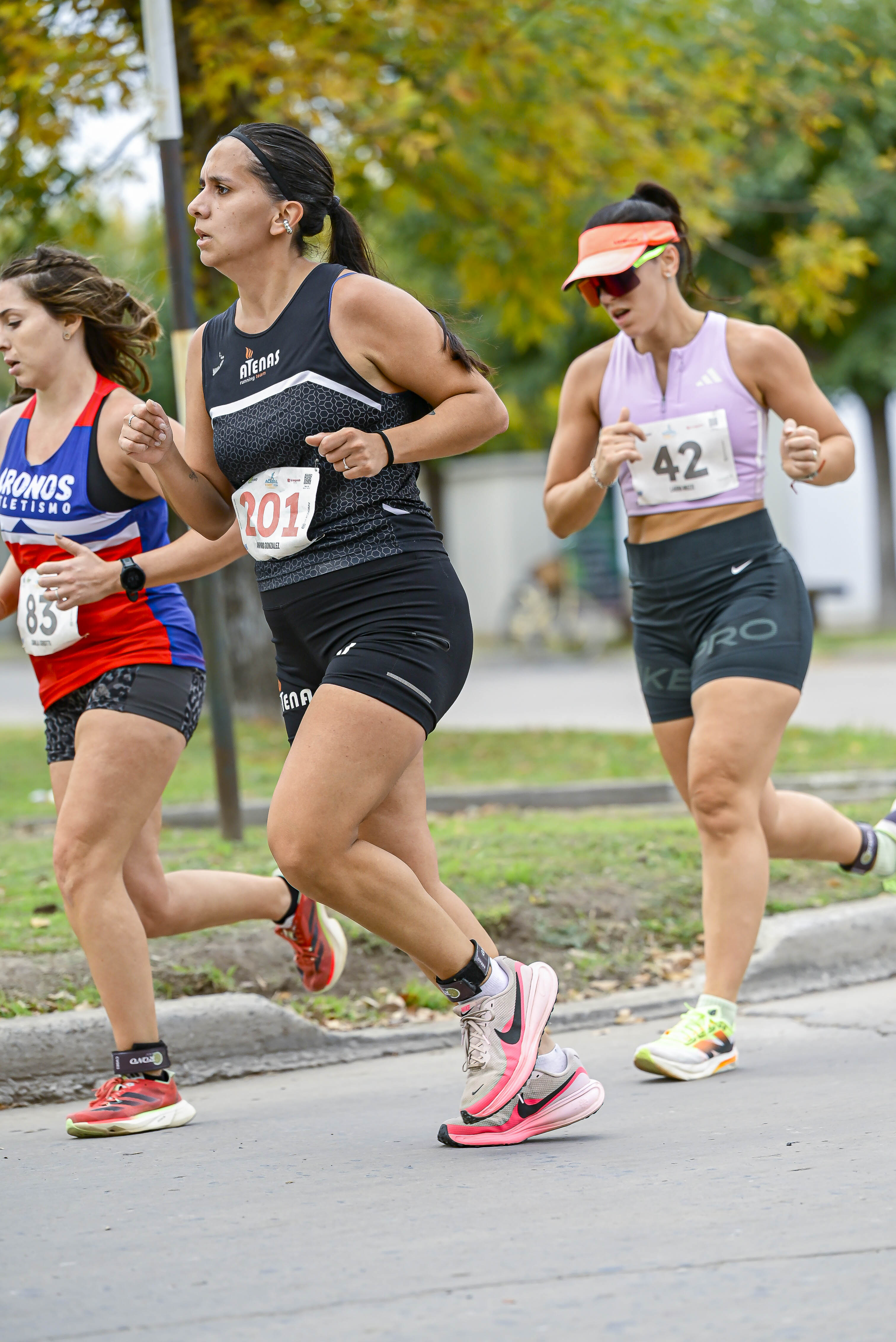Foto Dorsal 201