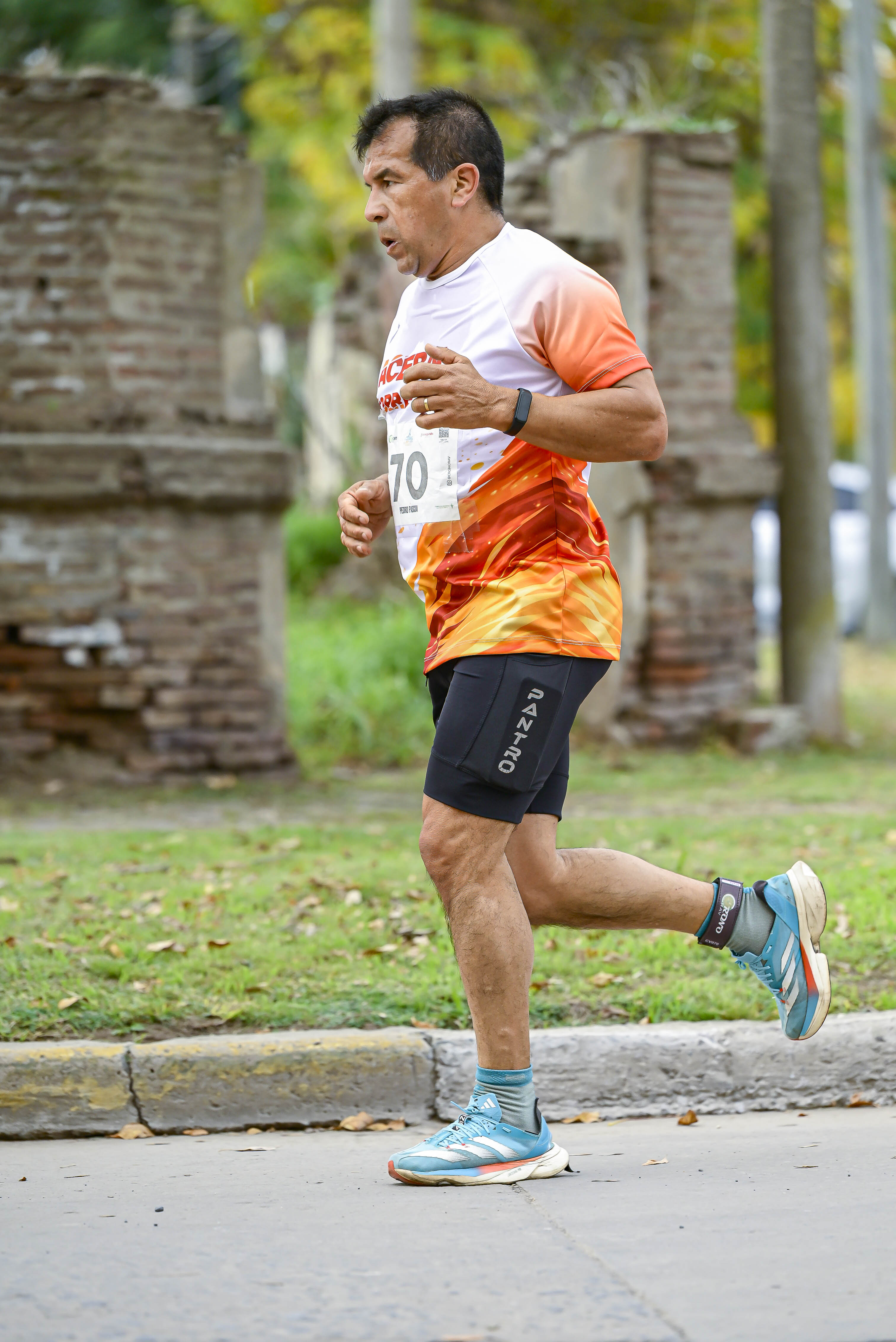 Foto Dorsal 70