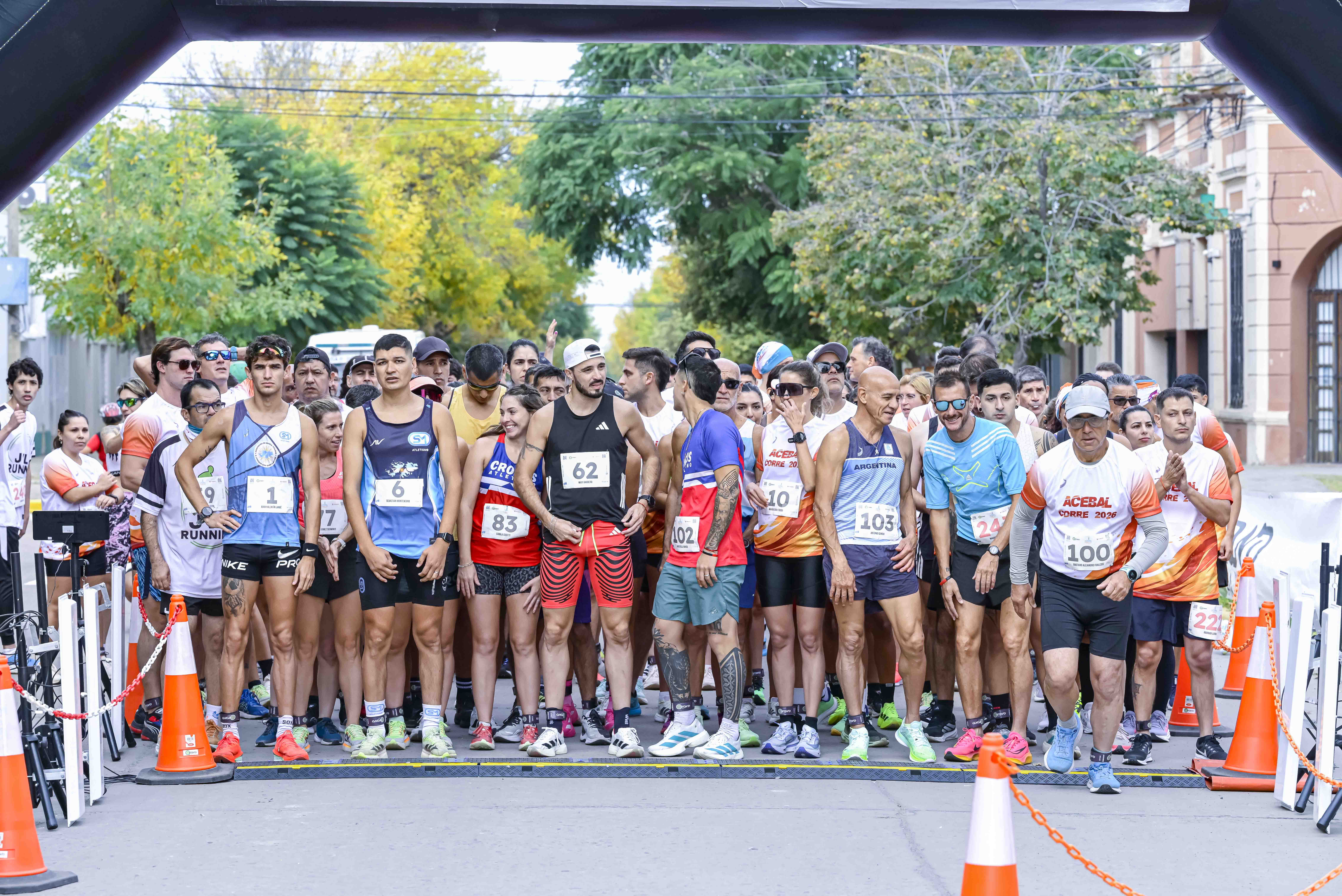 Foto Dorsal 100