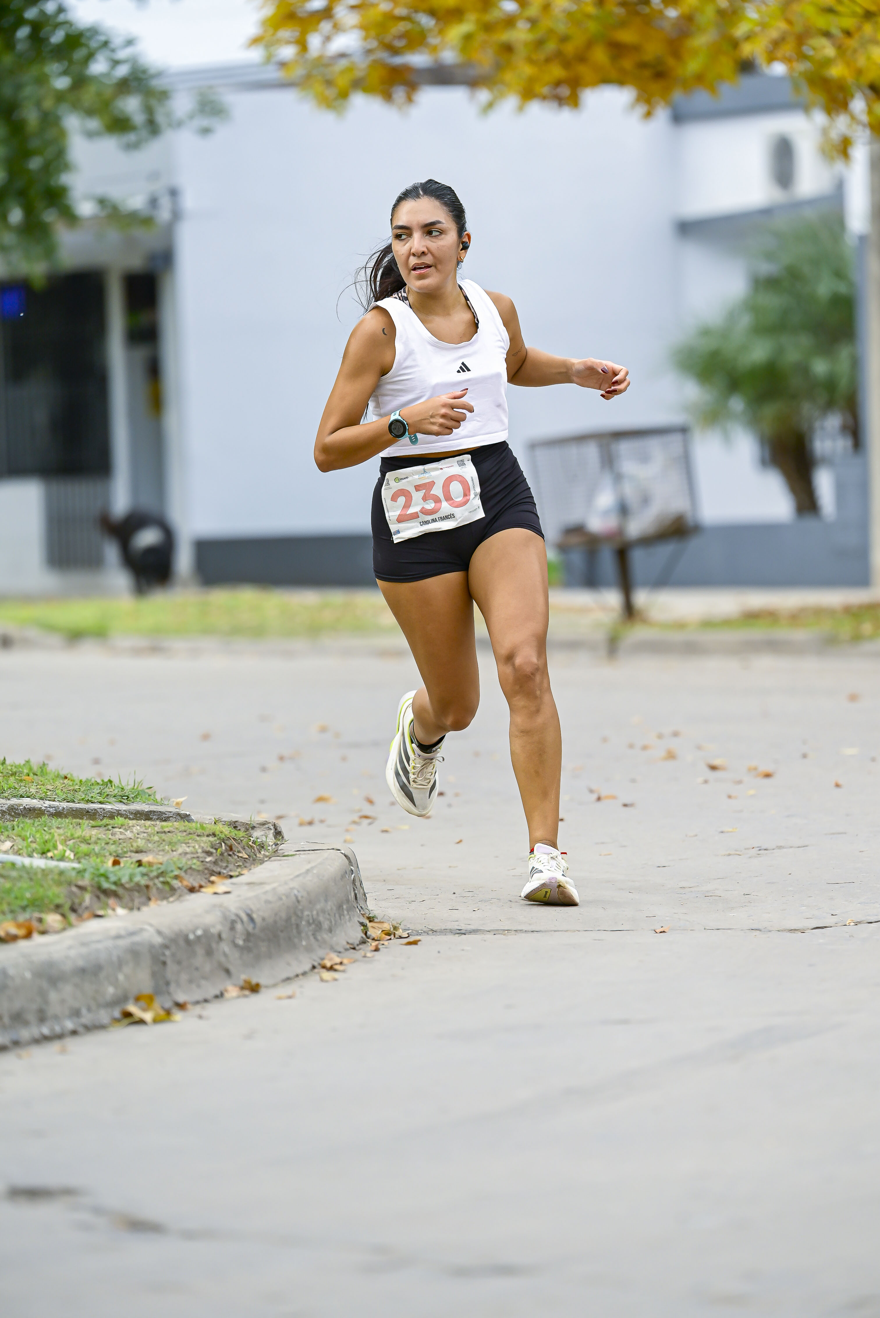 Foto Dorsal 230