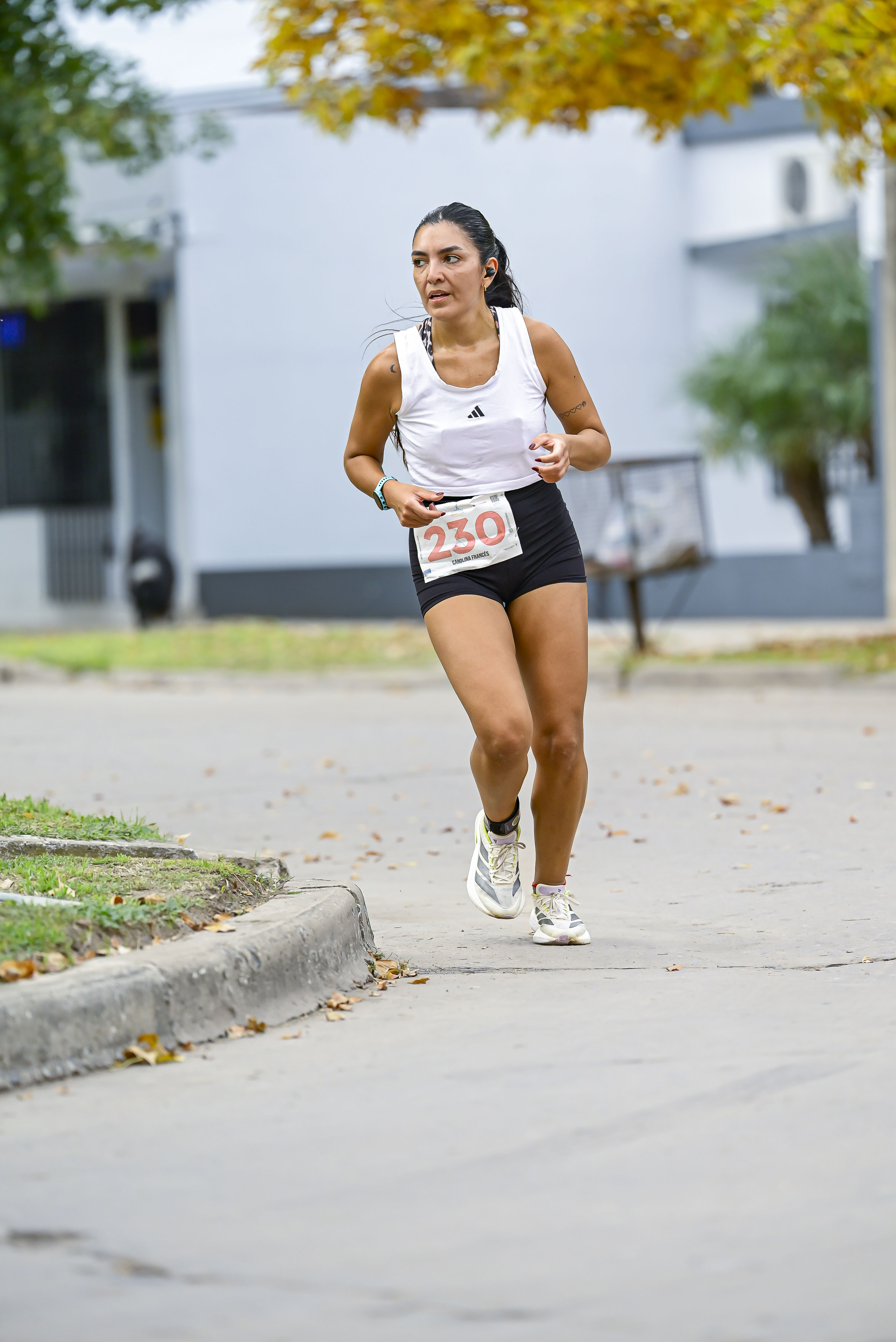 Foto Dorsal 230