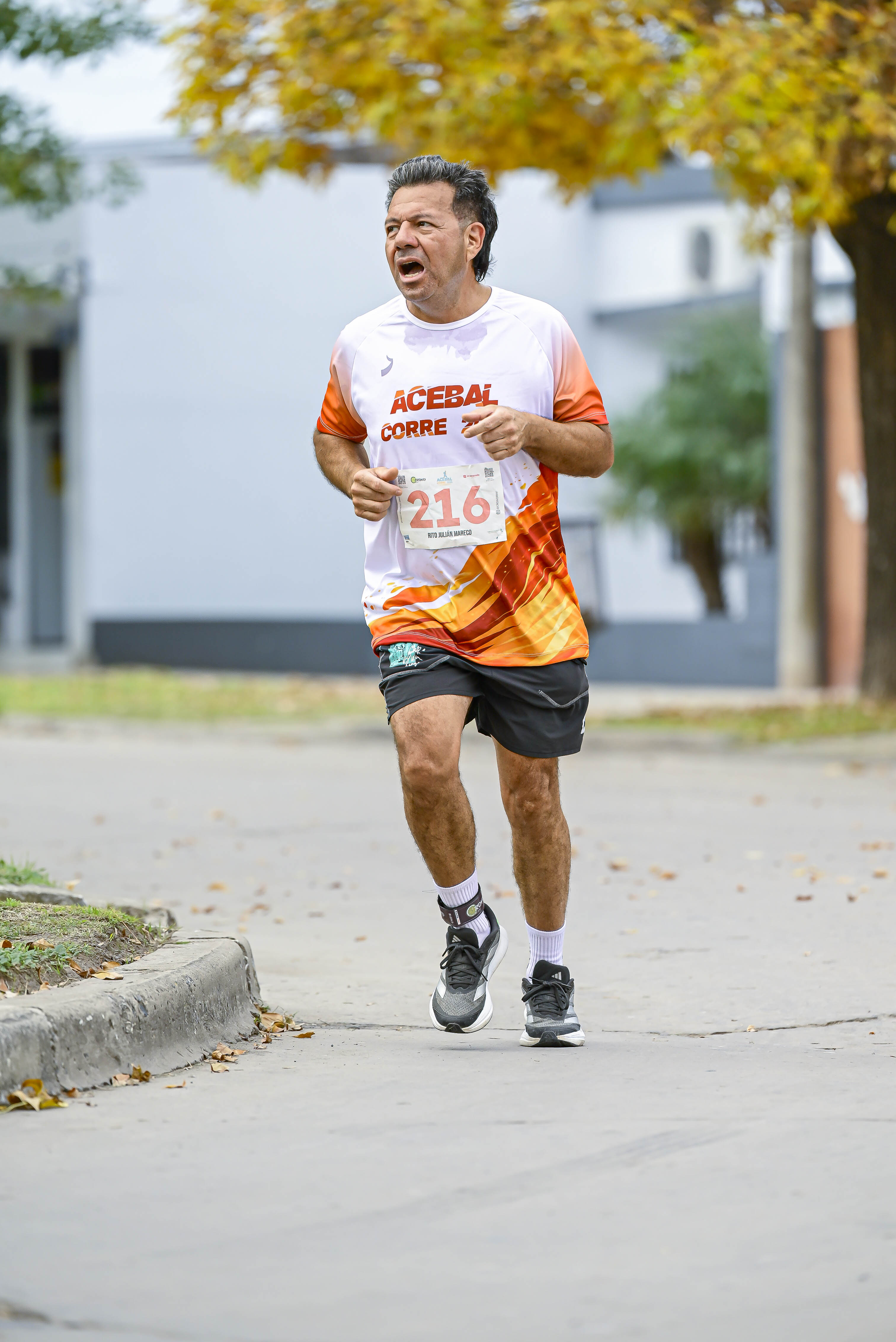 Foto Dorsal 216