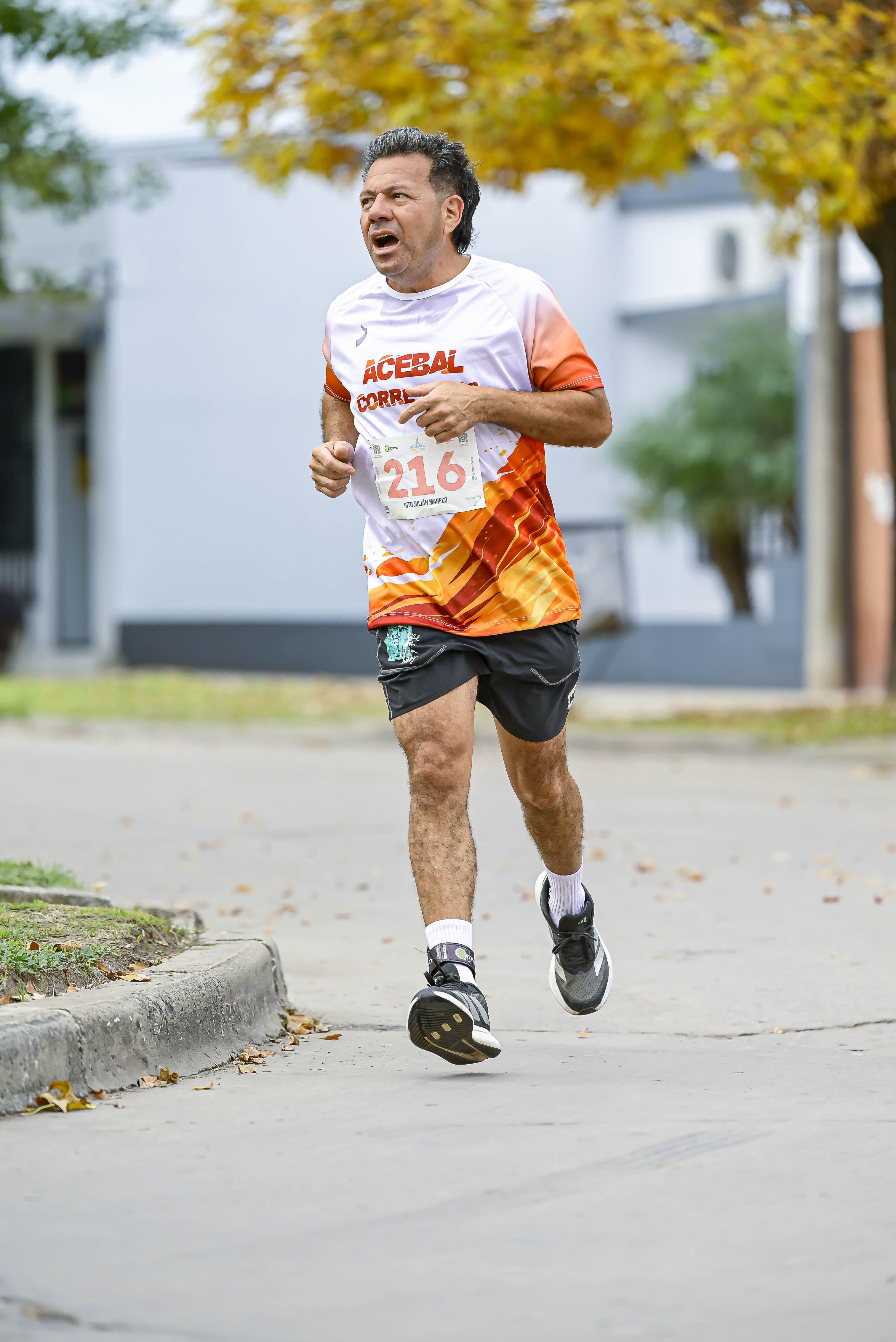 Foto Dorsal 216