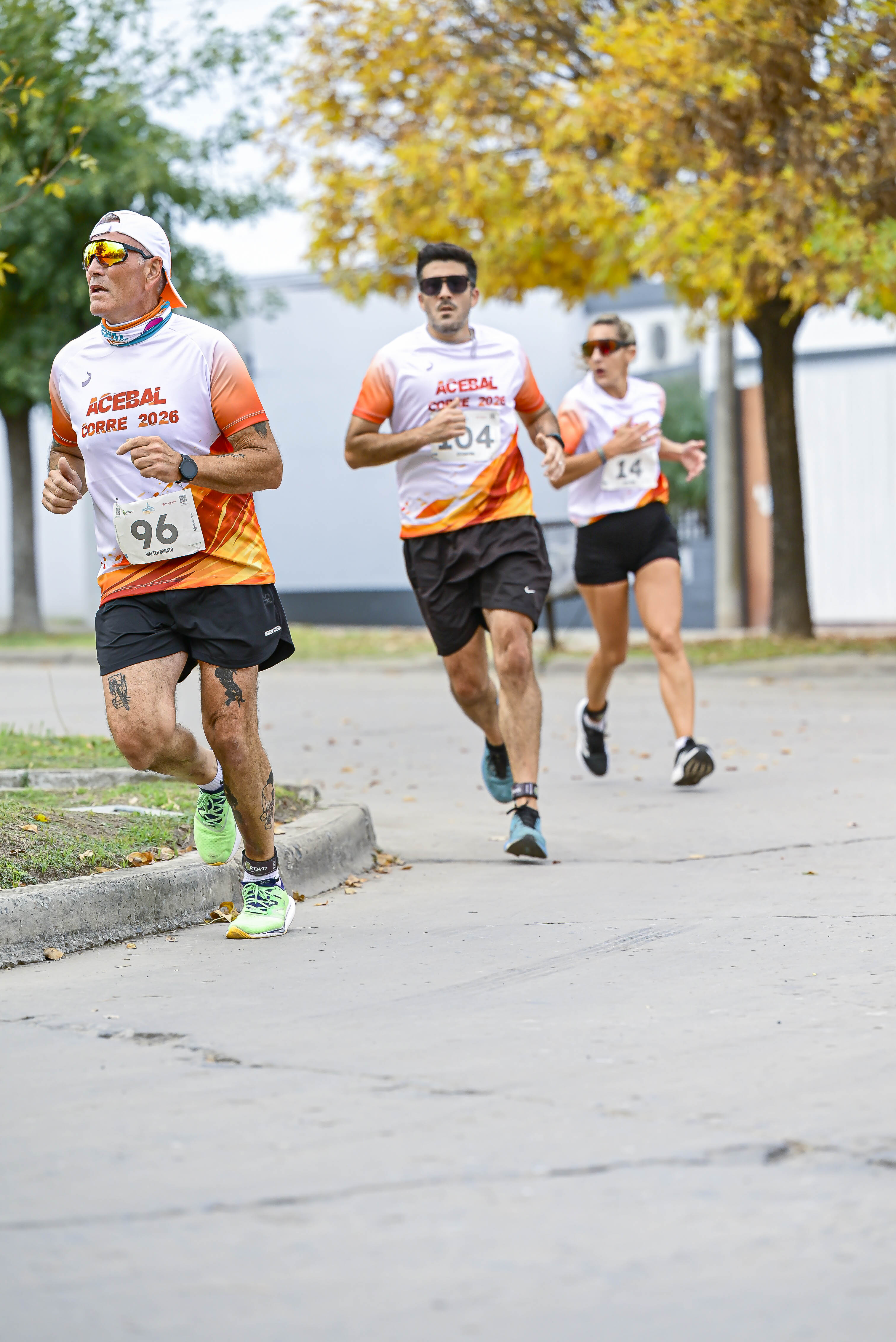 Foto Dorsal 96