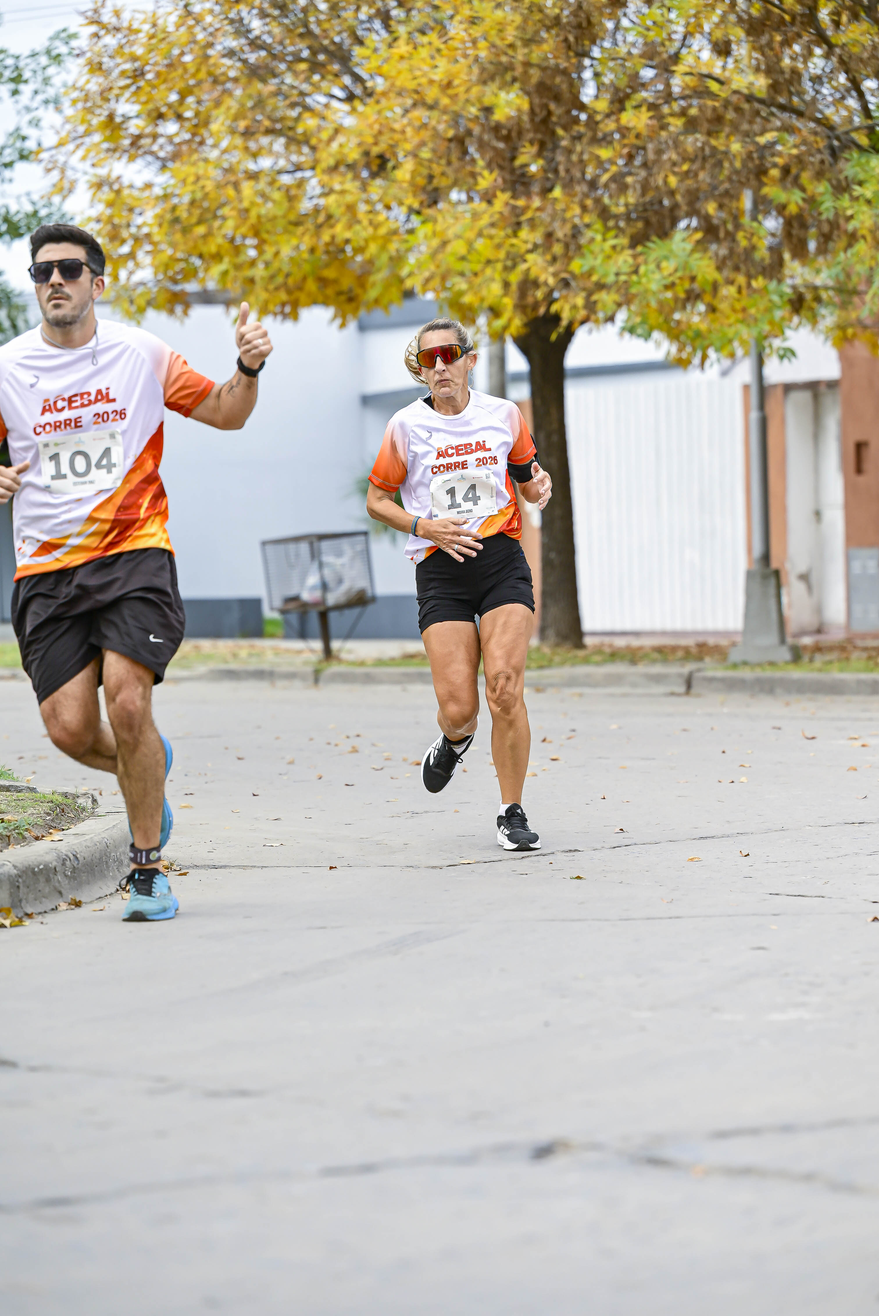 Foto Dorsal 104