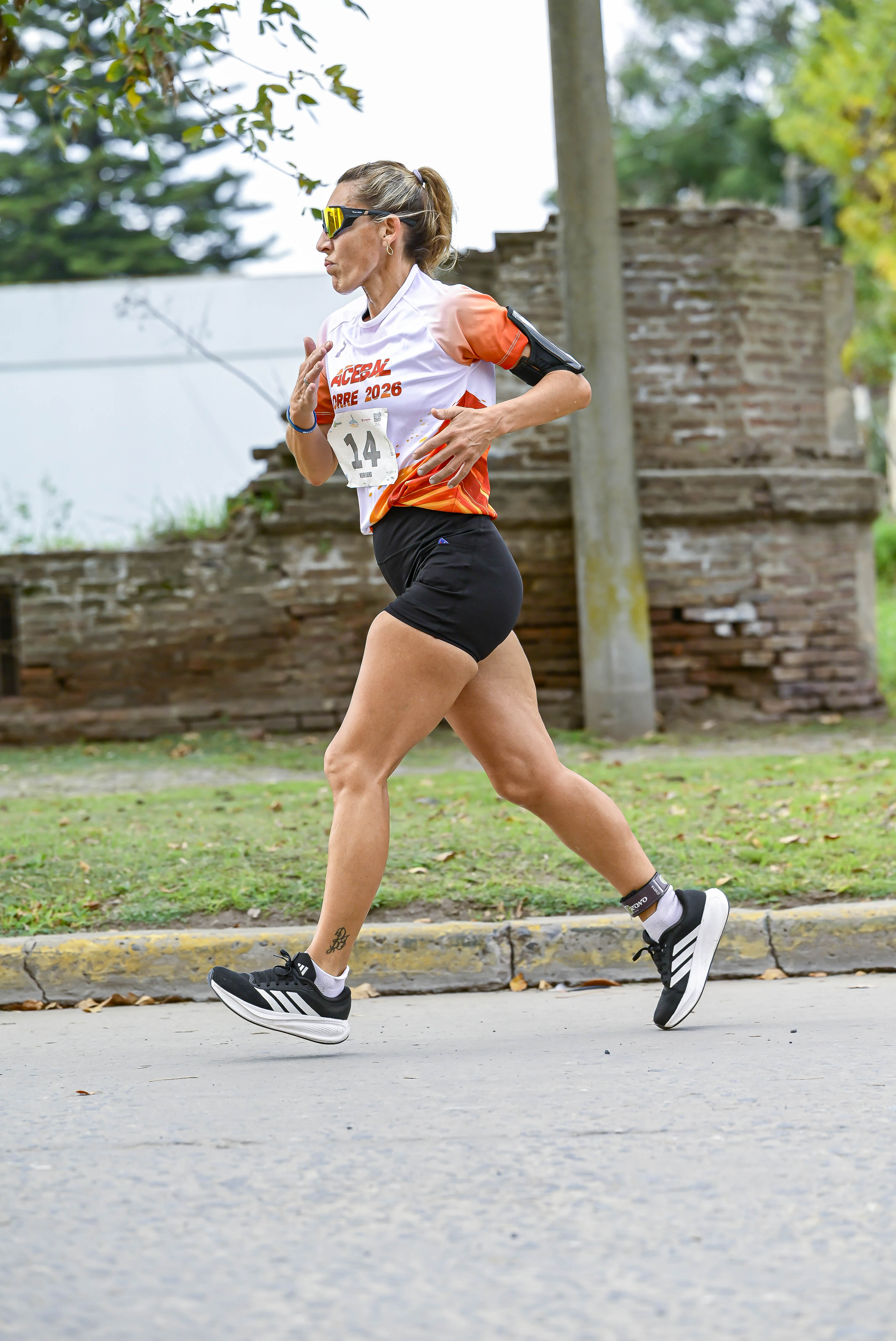 Foto Dorsal 14