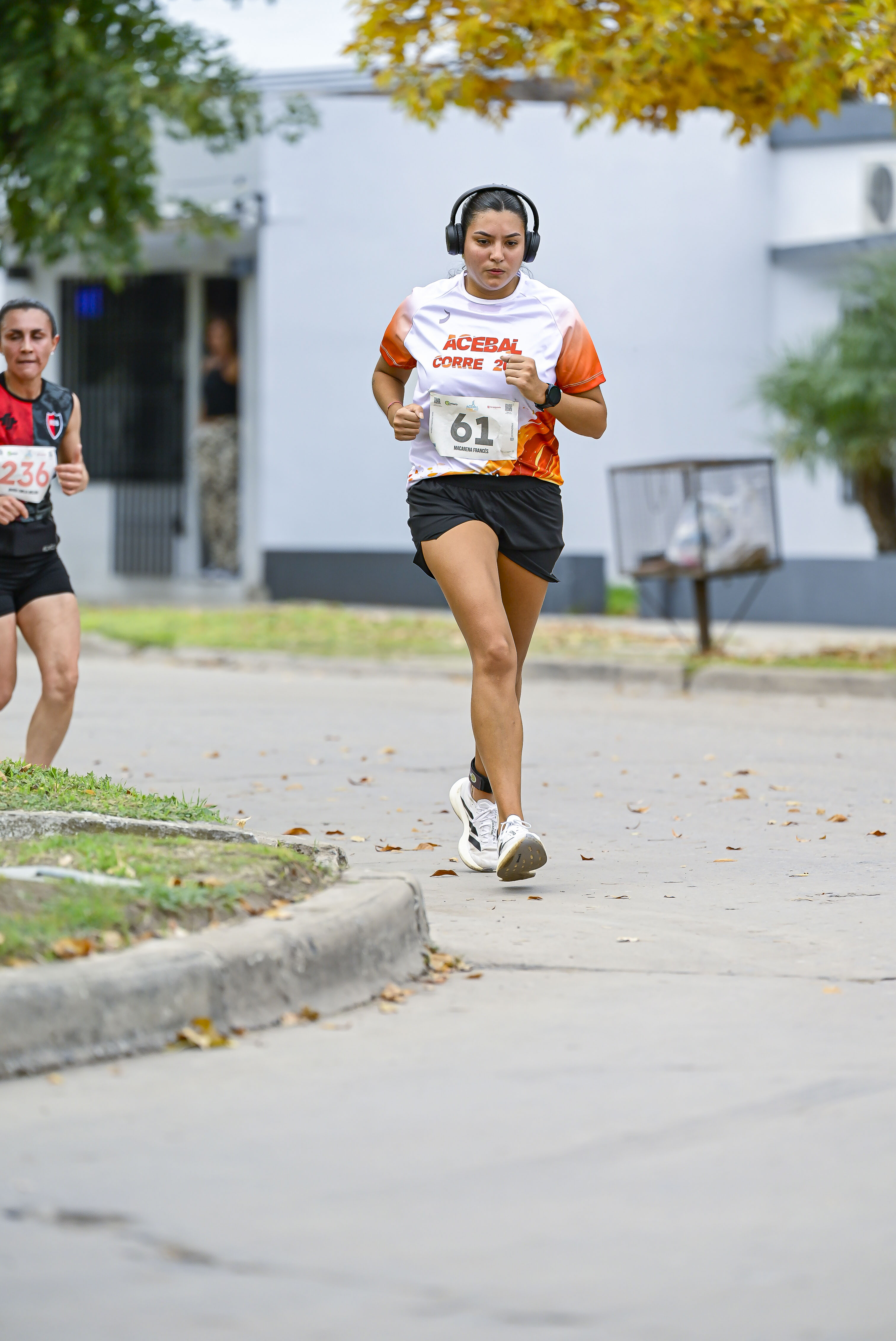 Foto Dorsal 61
