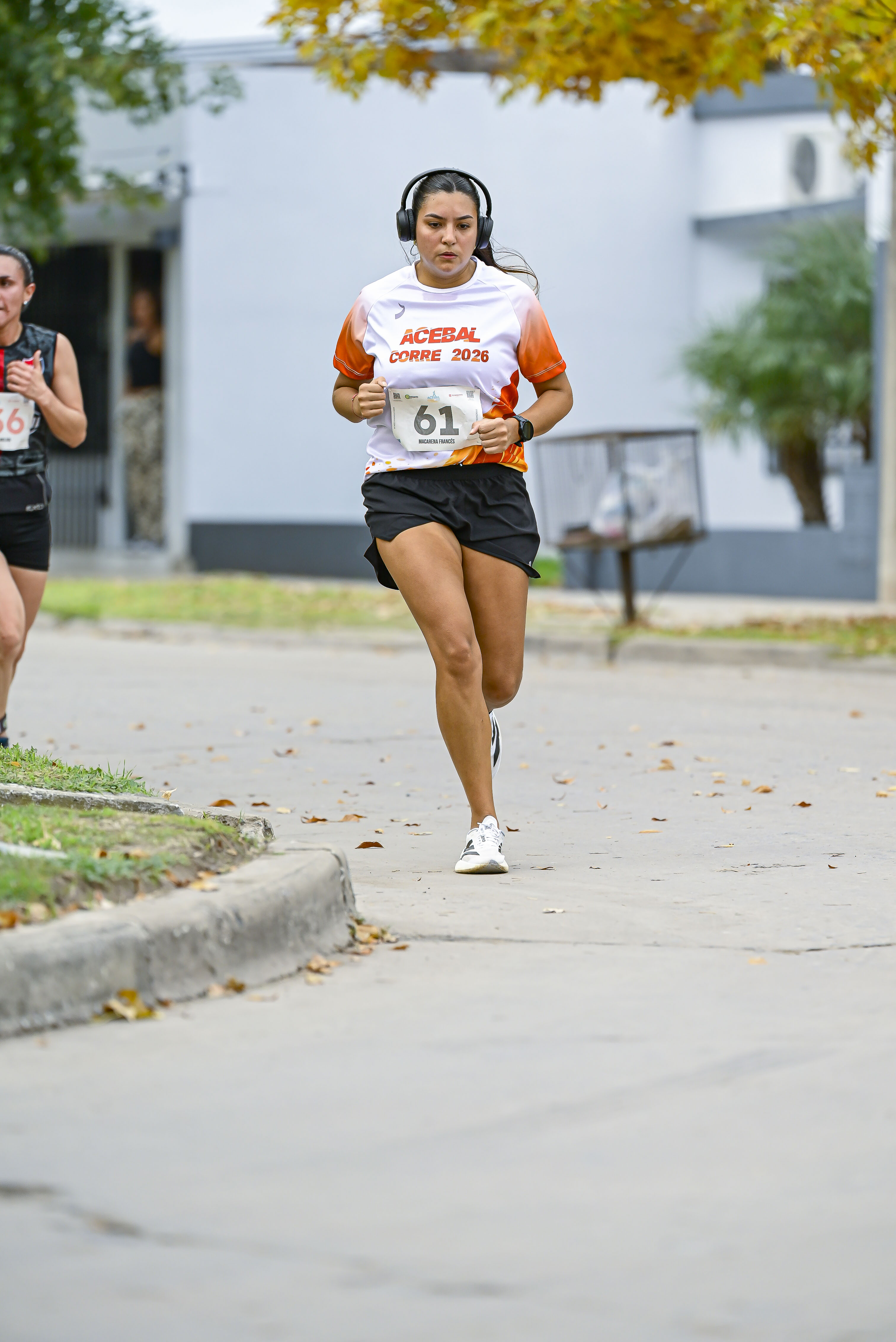 Foto Dorsal 61