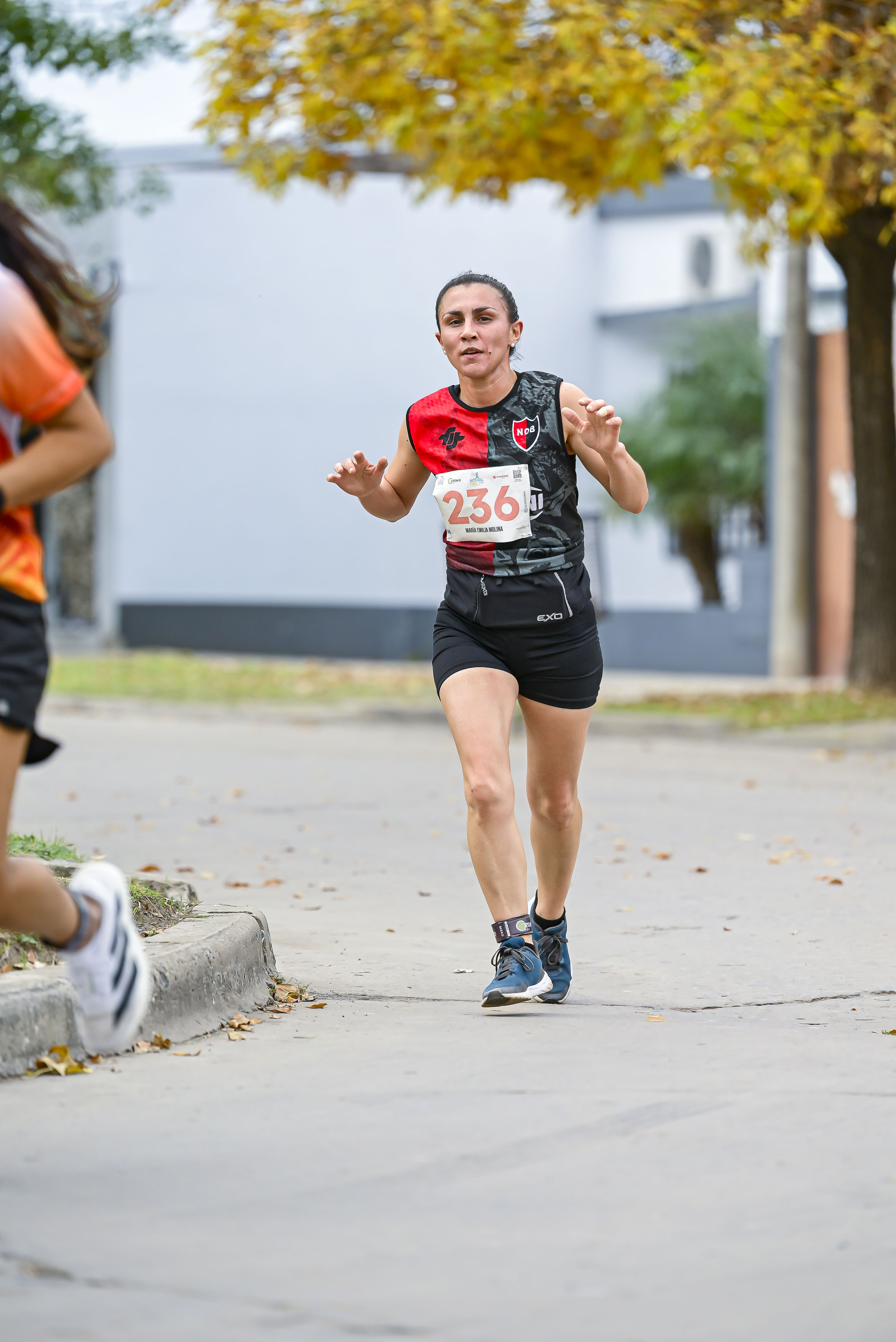 Foto Dorsal 236