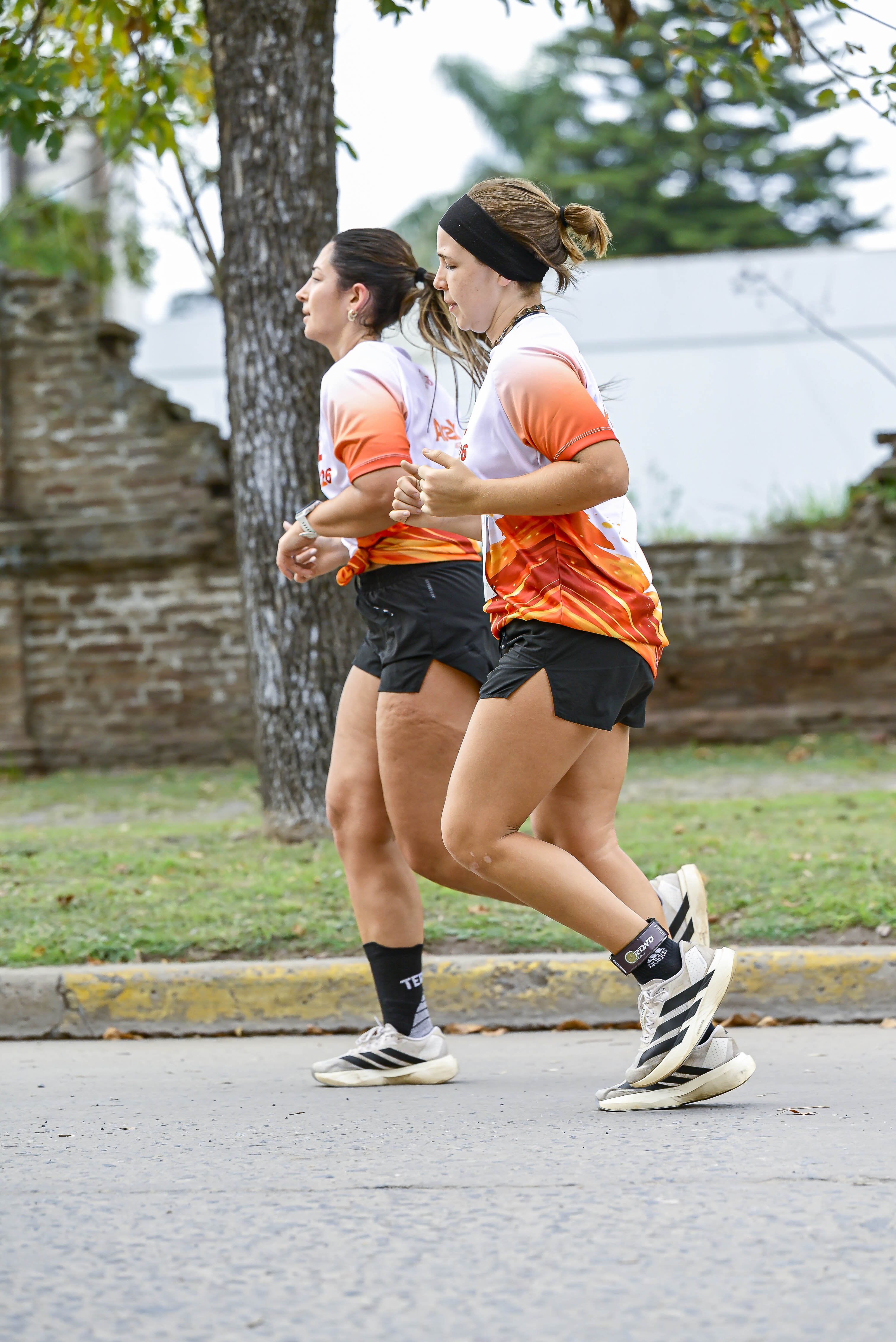 Foto Dorsal 26
