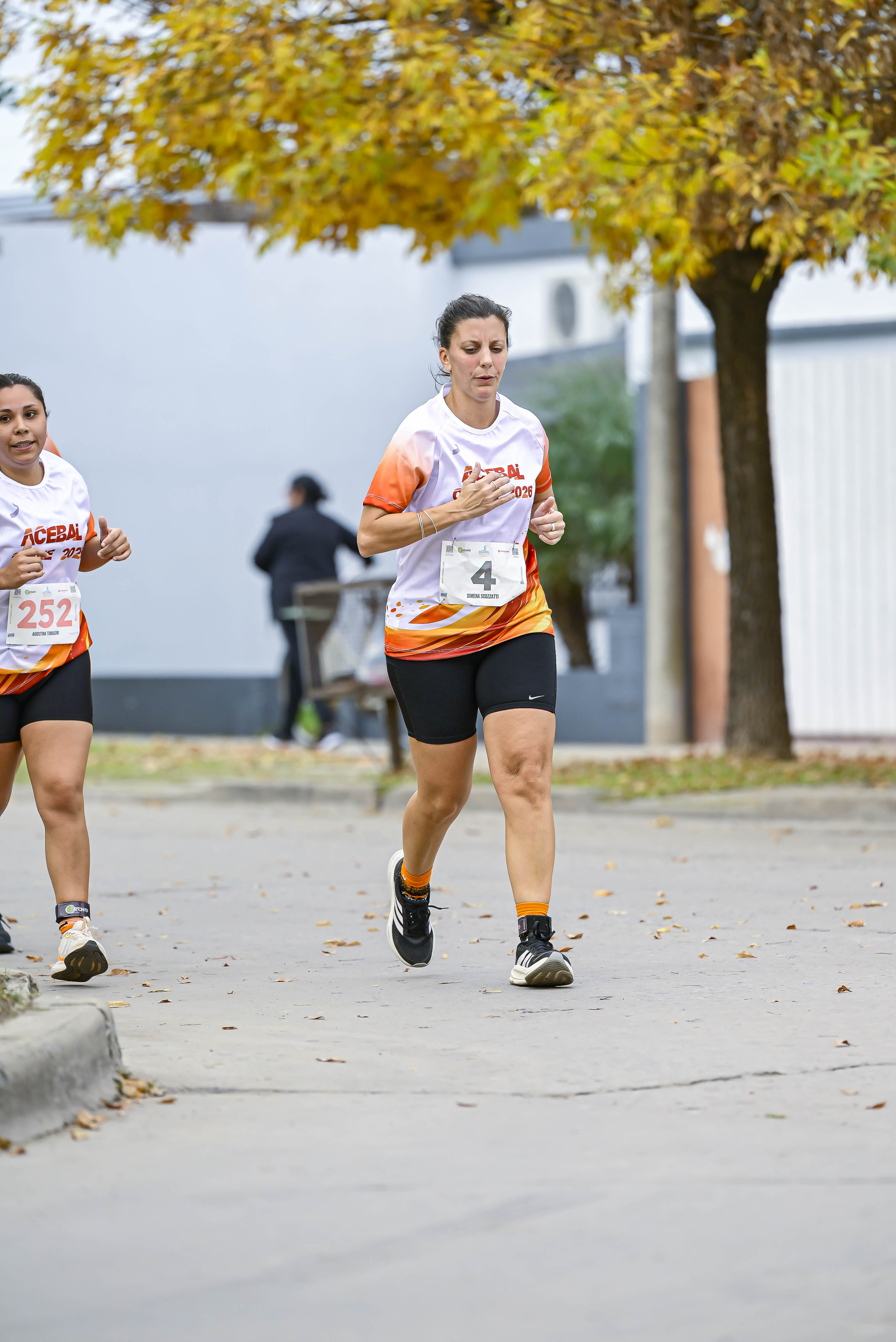 Foto Dorsal 252