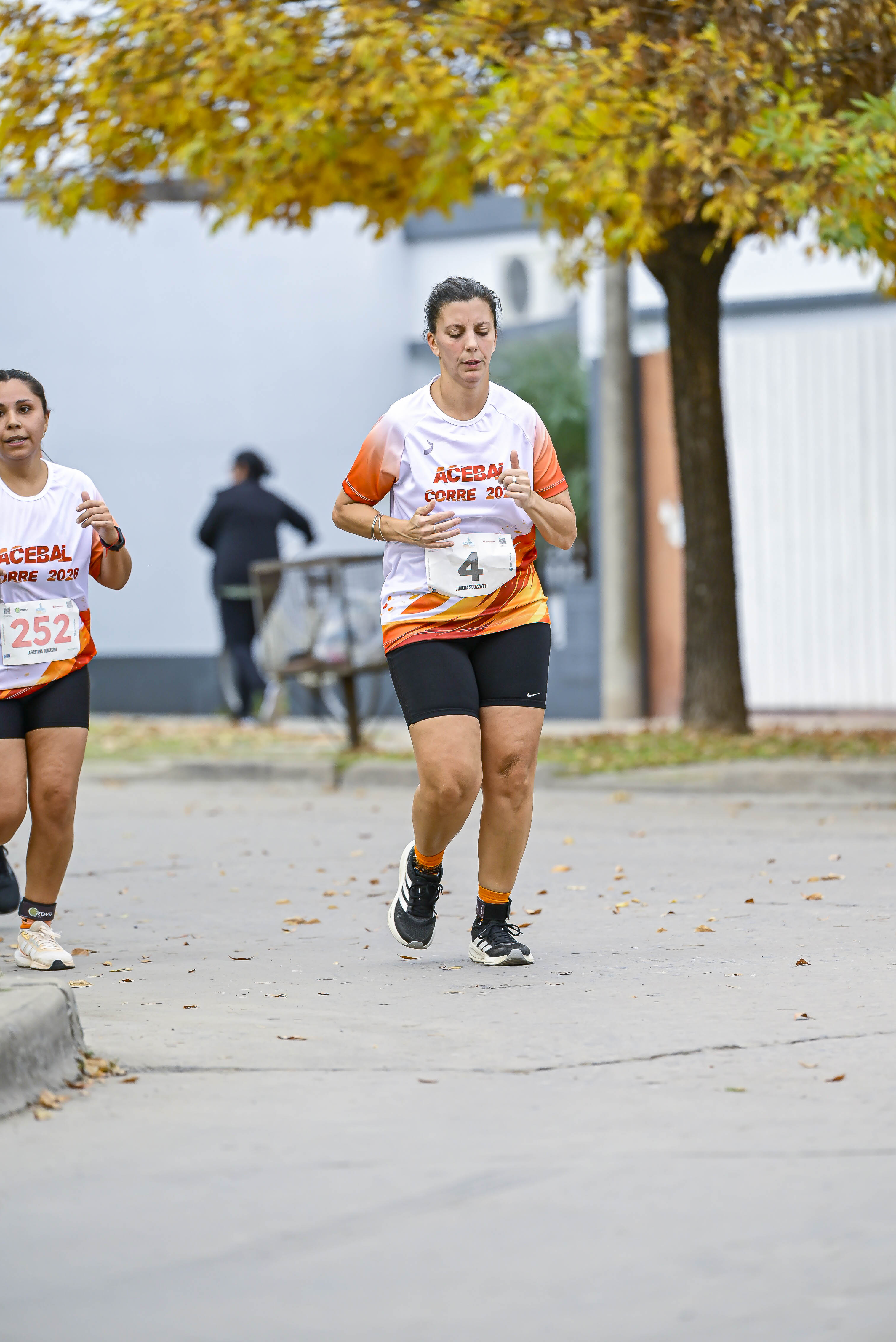 Foto Dorsal 252