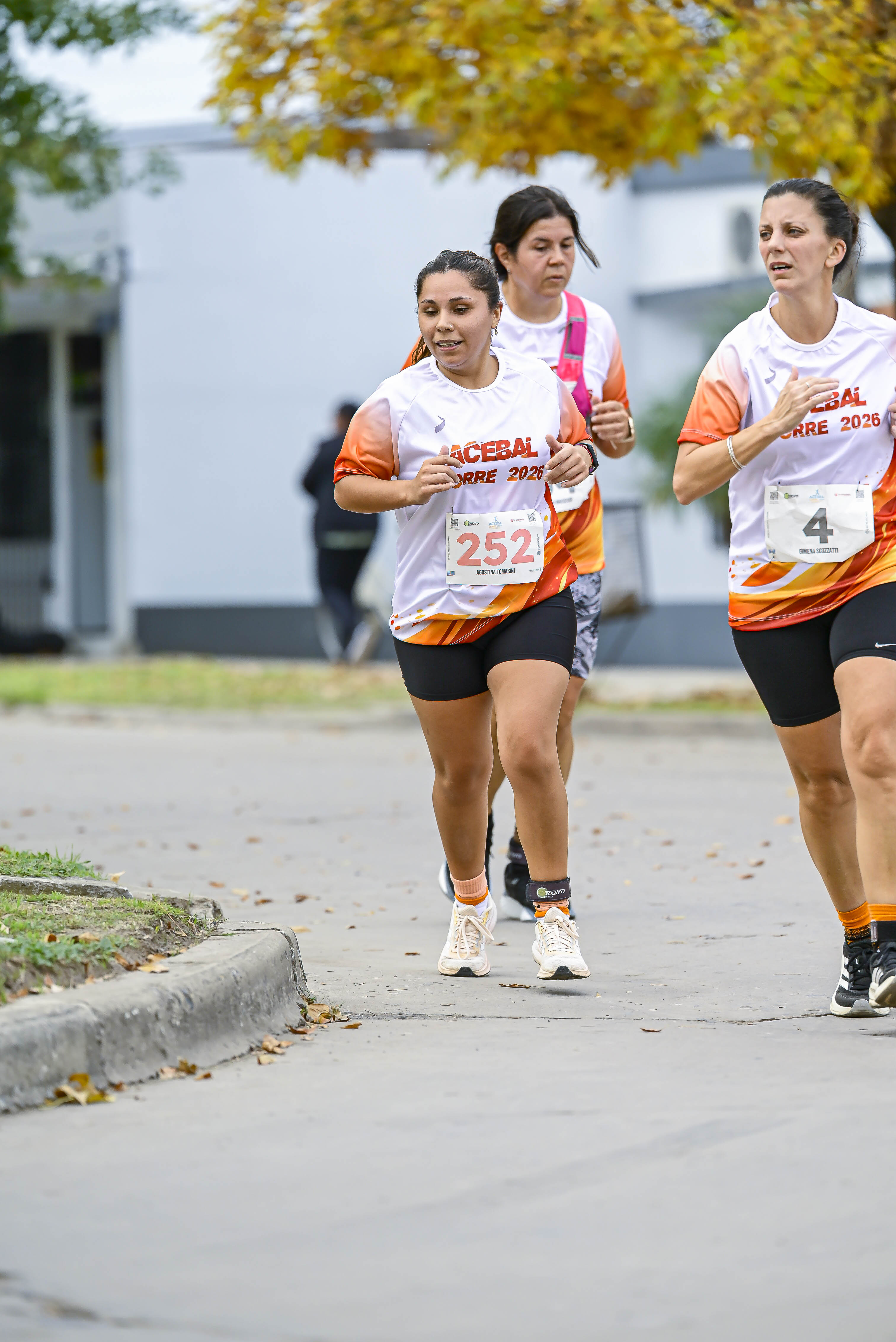 Foto Dorsal 252