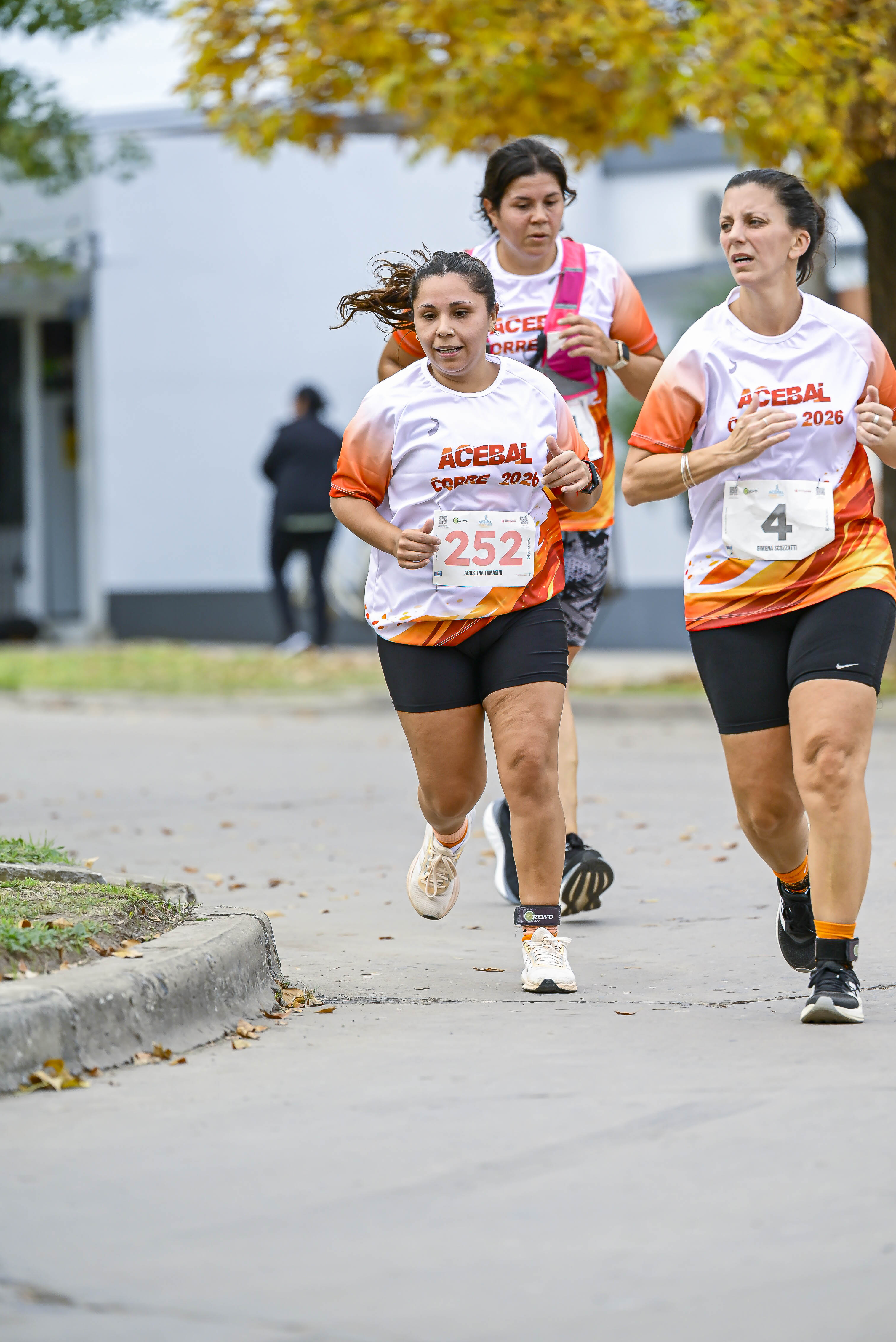 Foto Dorsal 252