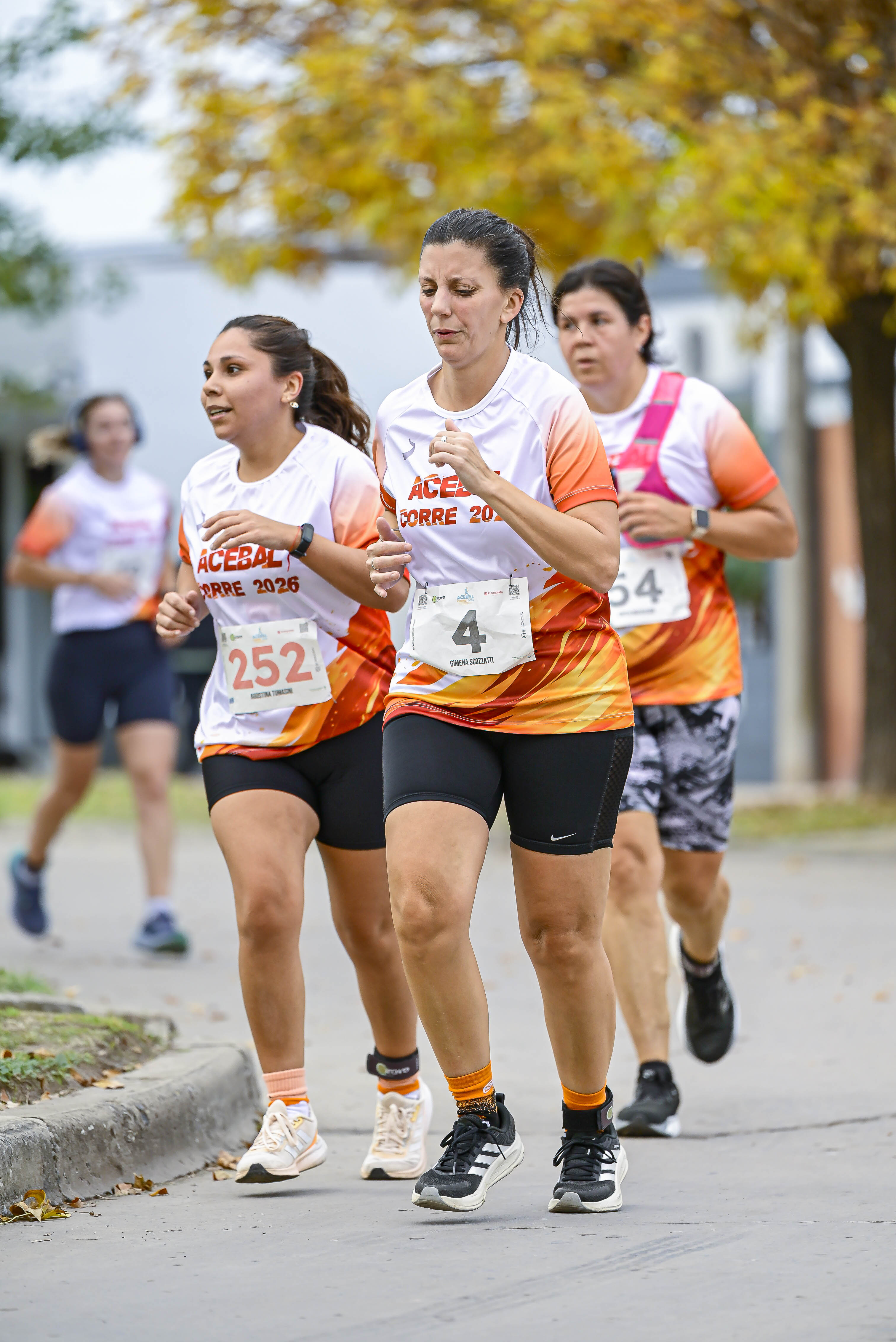 Foto Dorsal 252