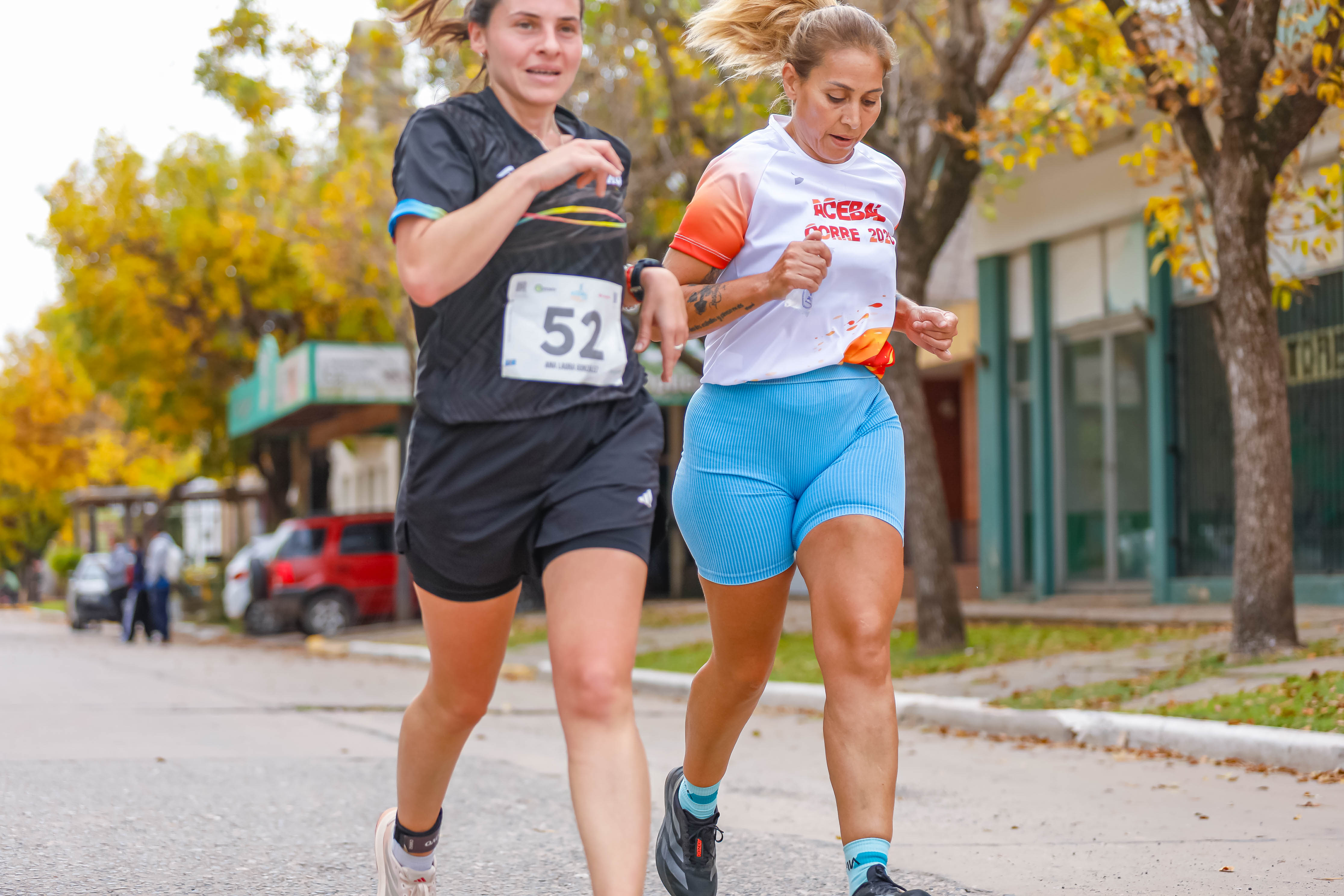 Foto Dorsal 52