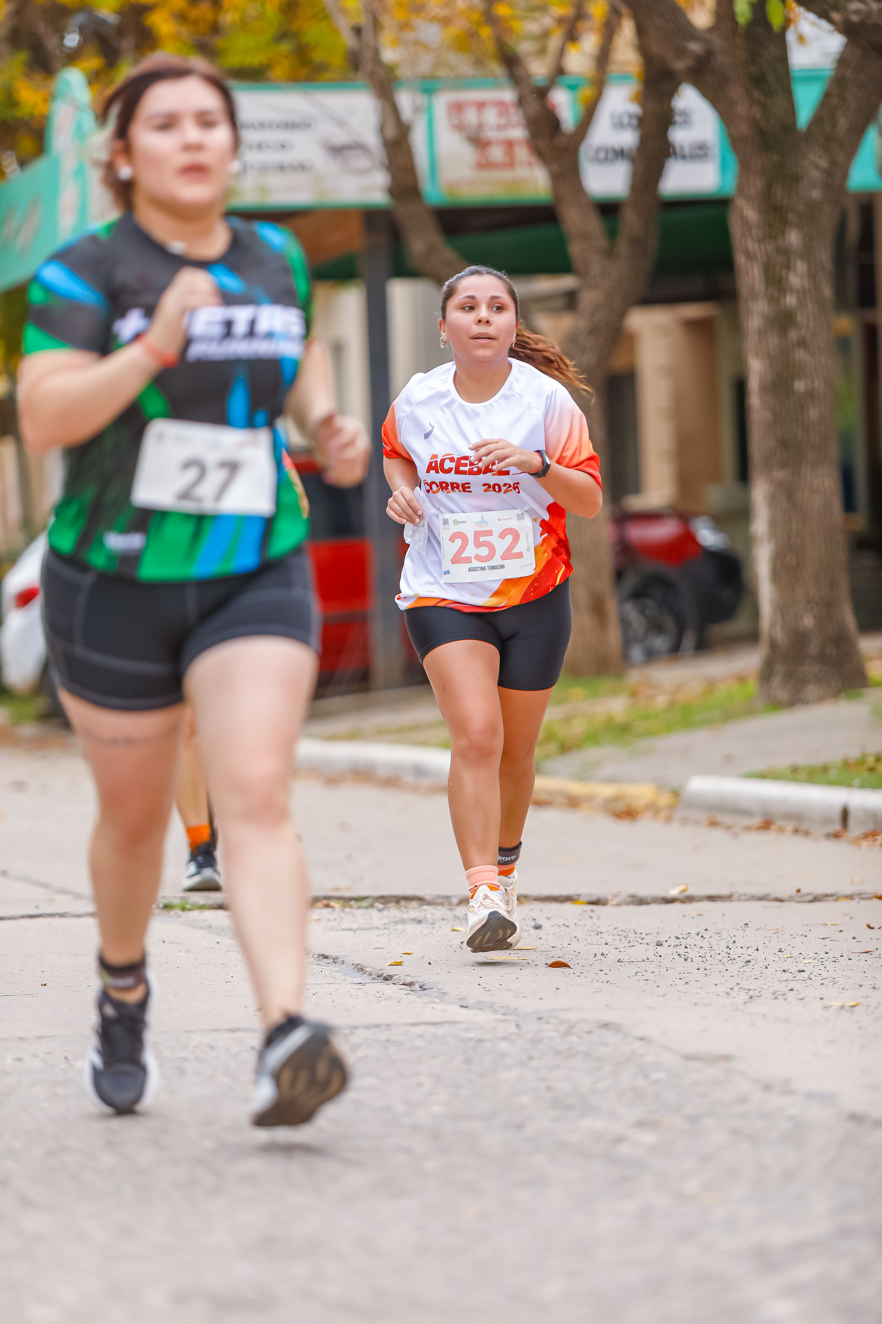 Foto Dorsal 252
