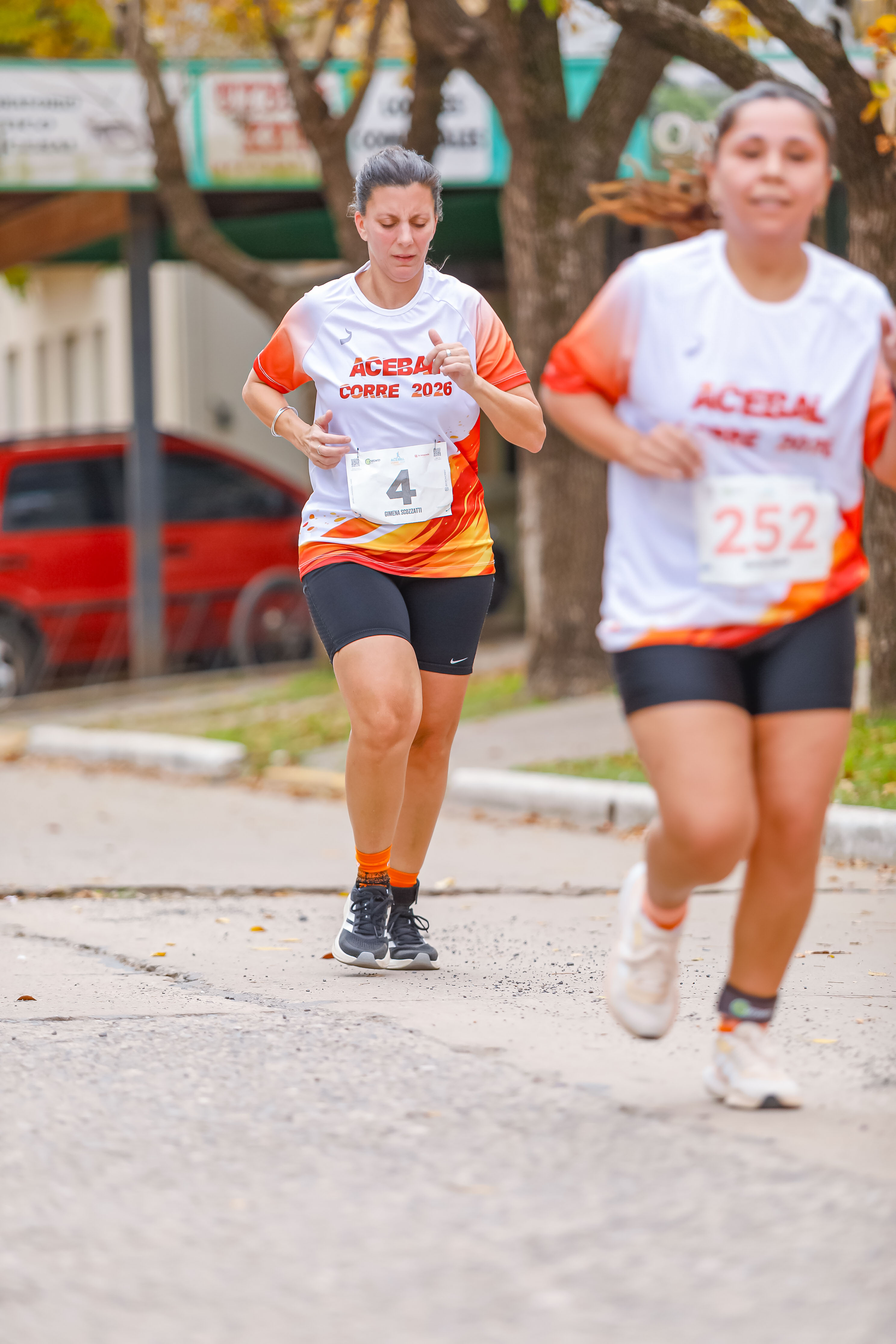 Foto Dorsal 252