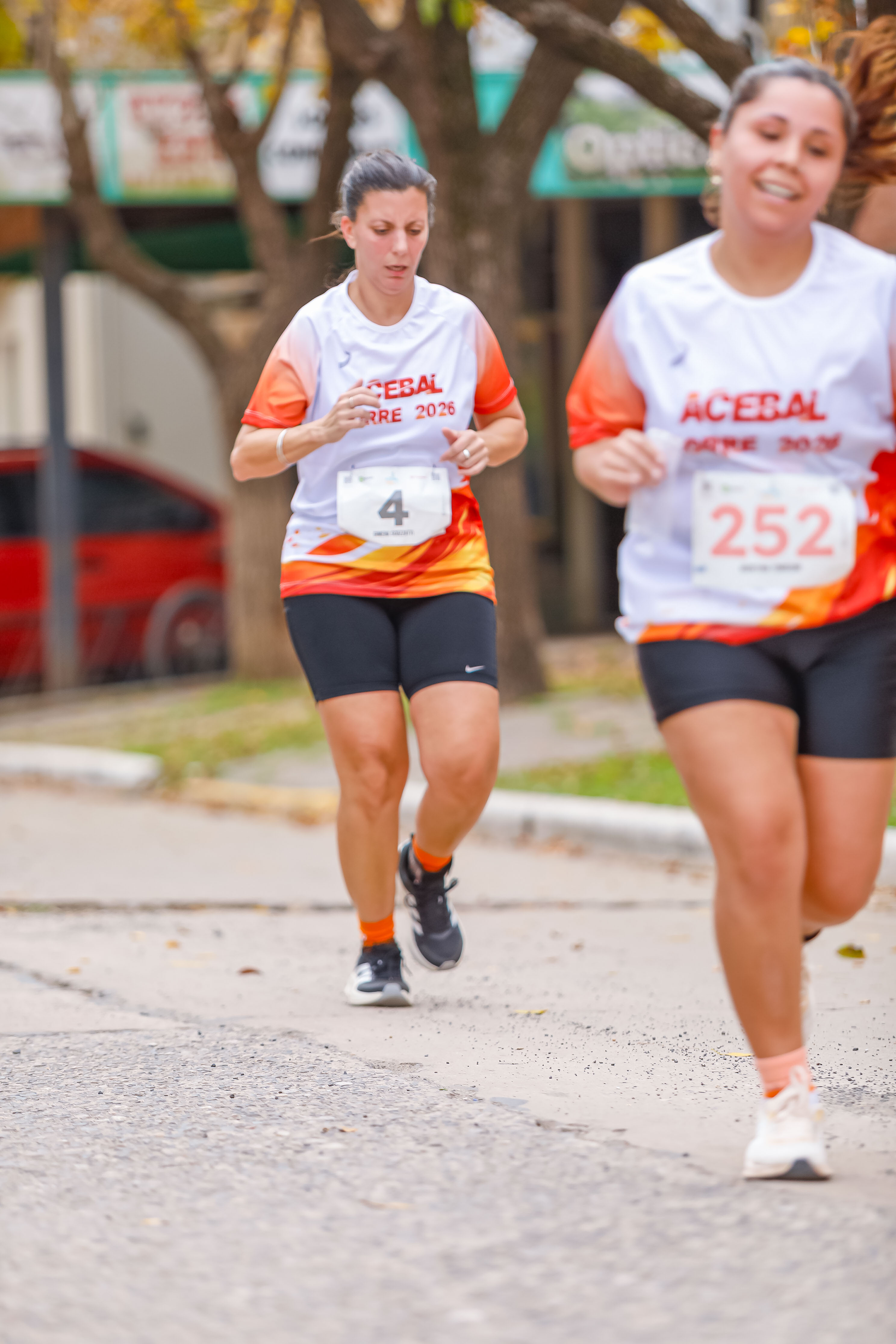 Foto Dorsal 252