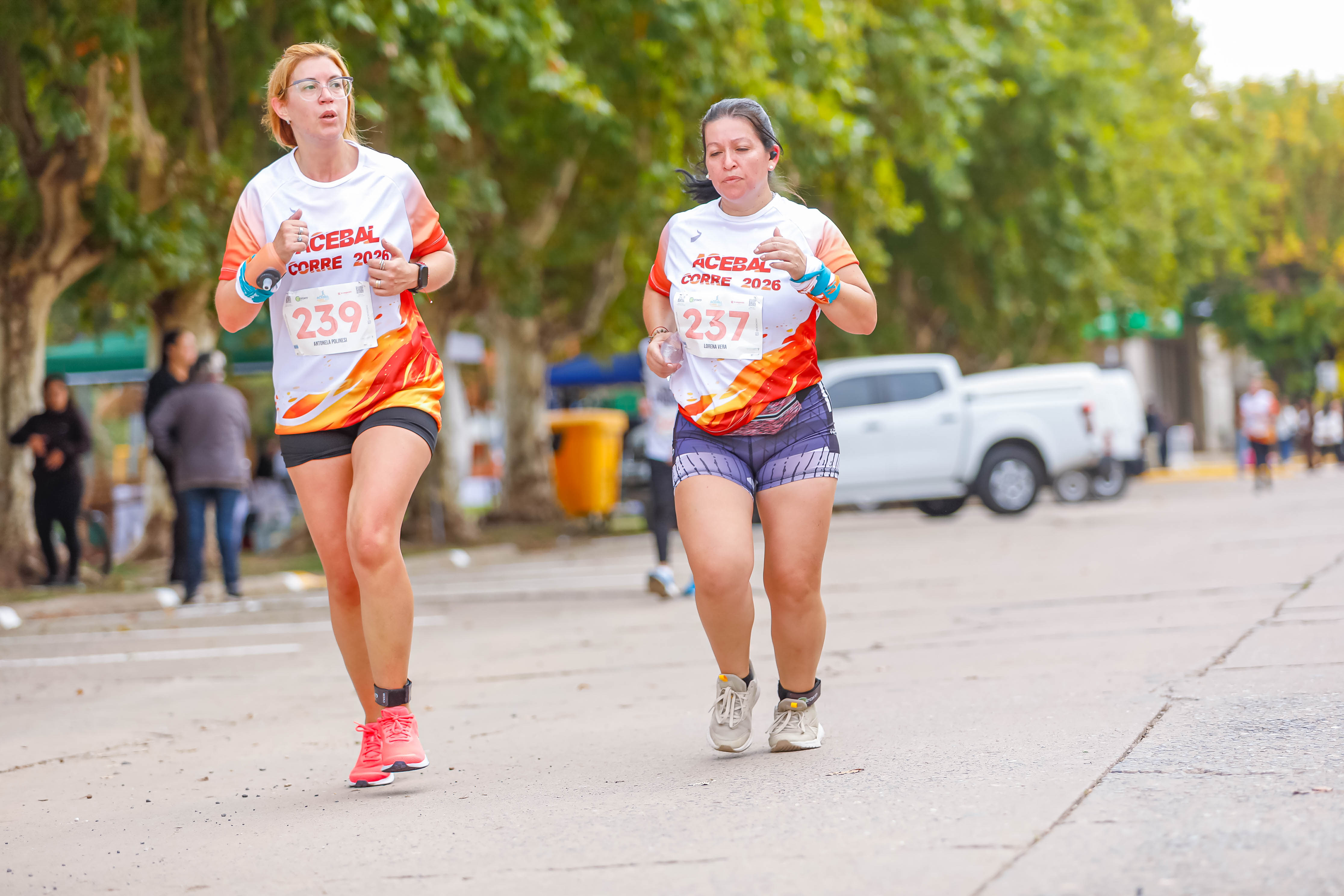 Foto Dorsal 239