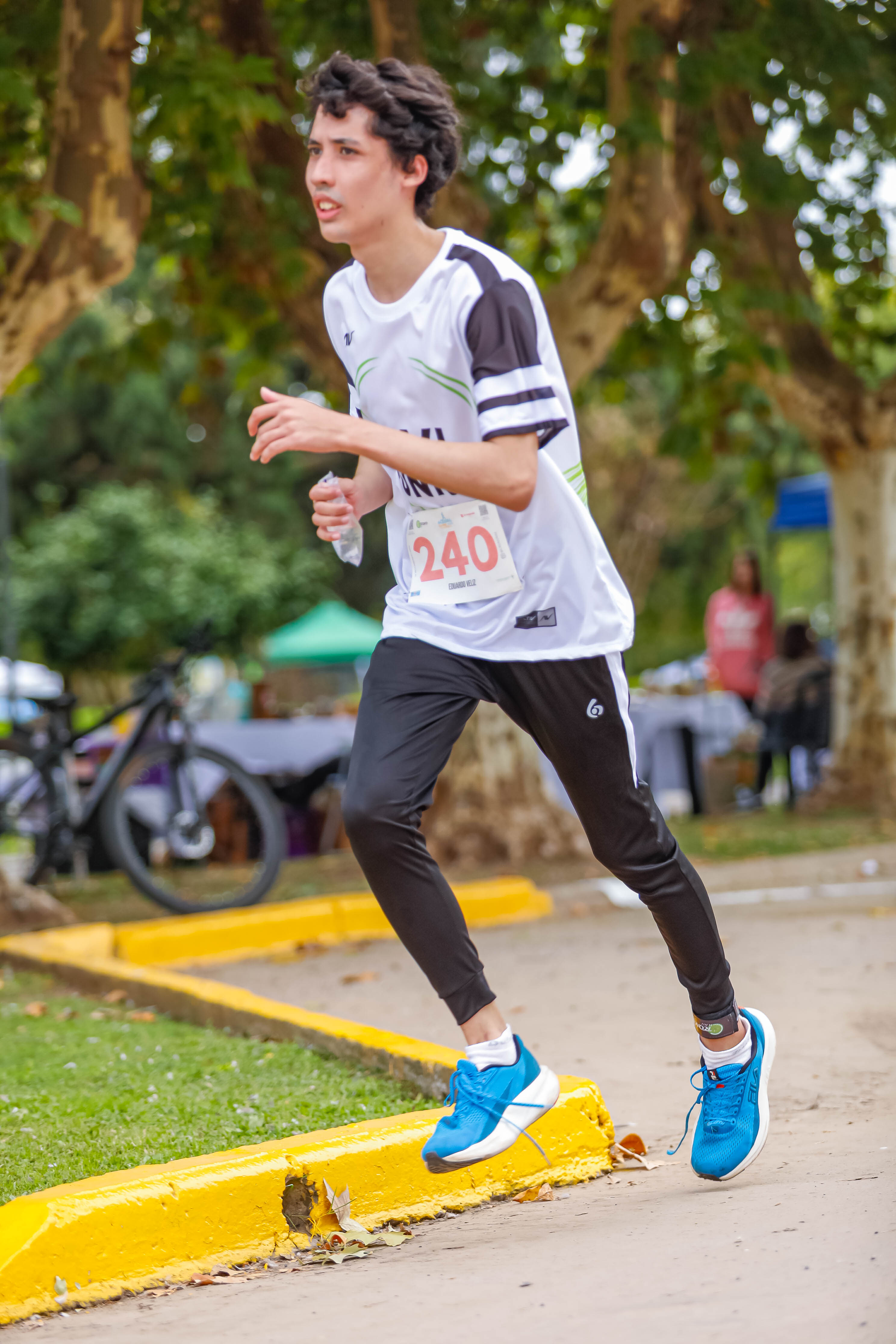 Foto Dorsal 240