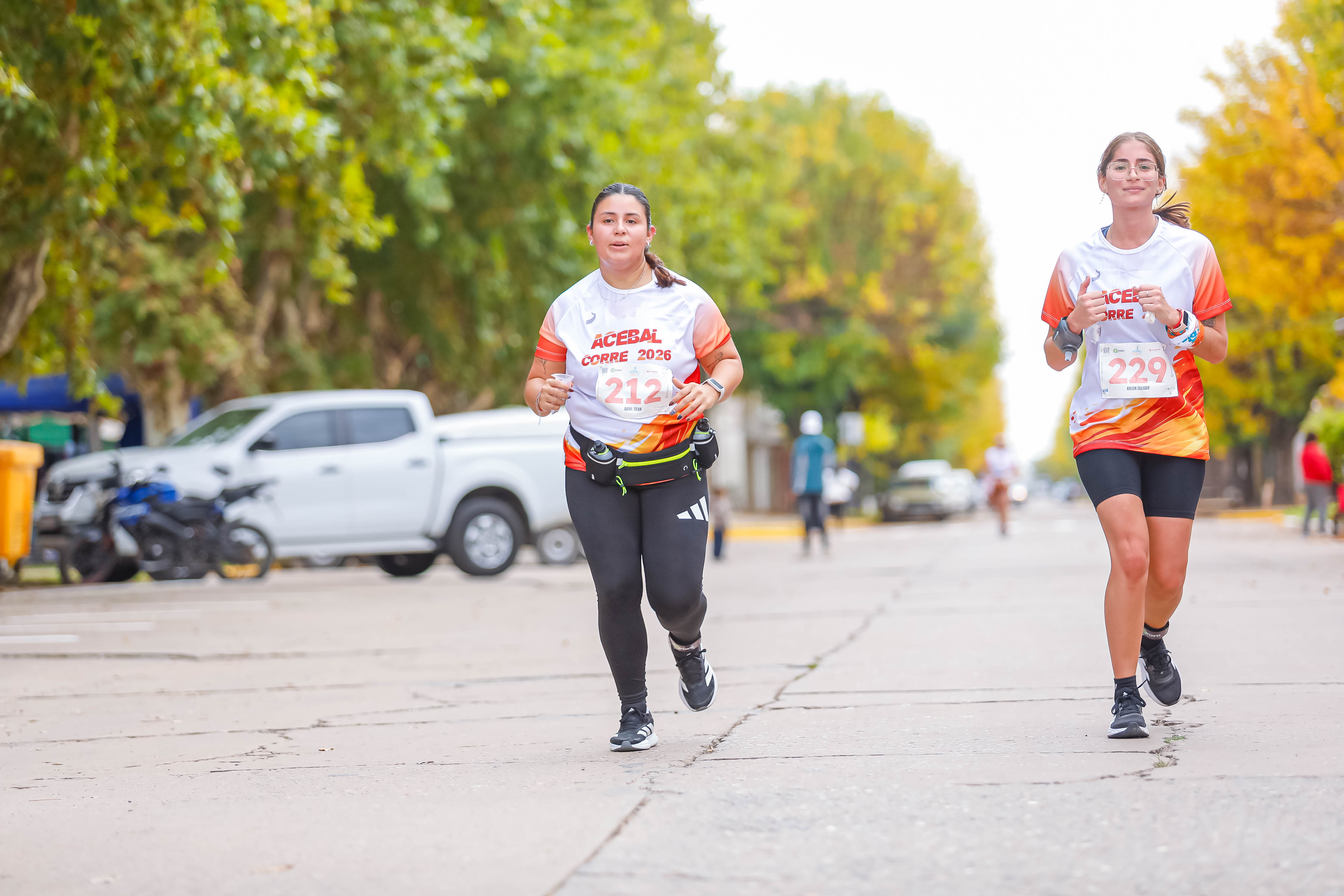 Foto Dorsal 212