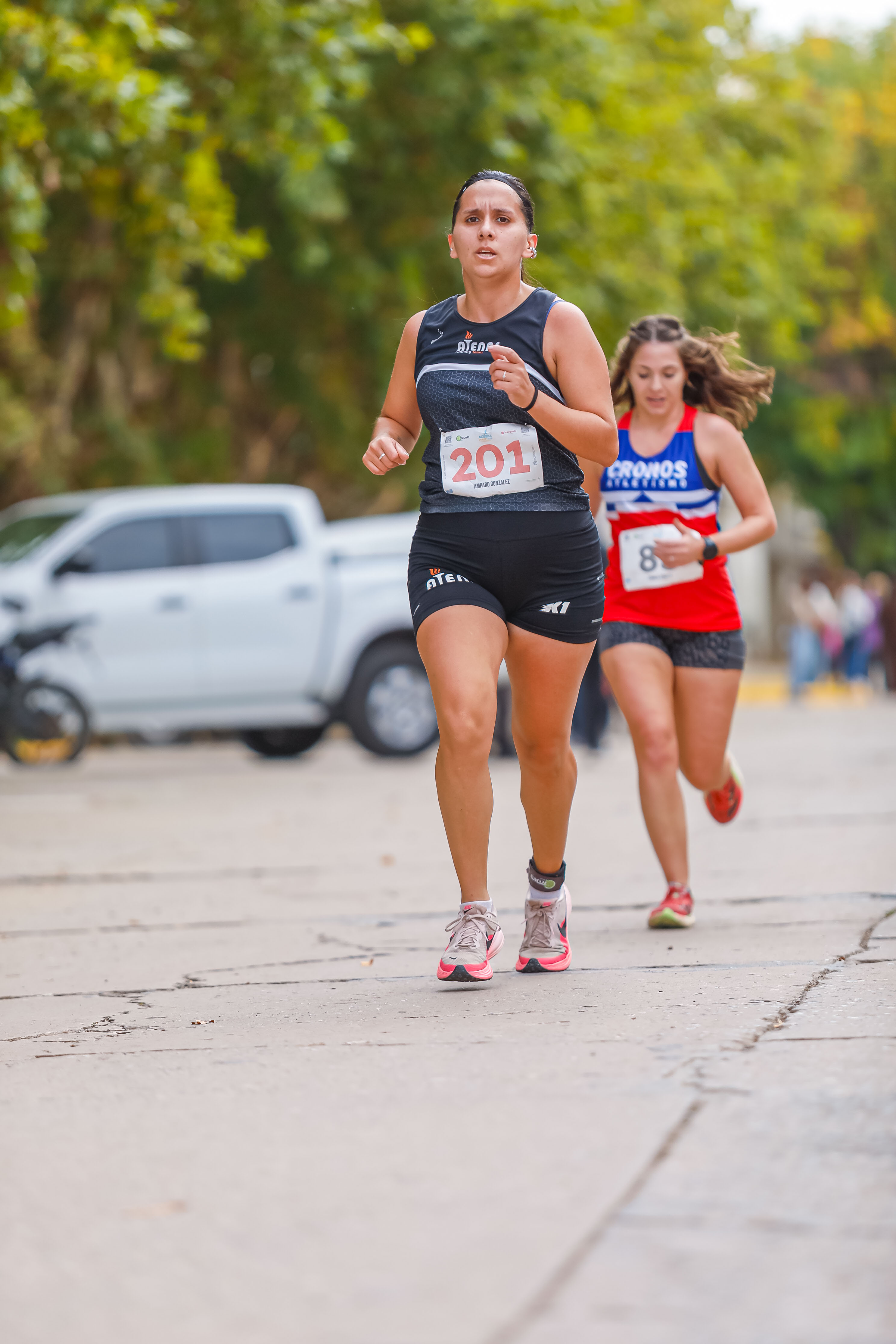 Foto Dorsal 201