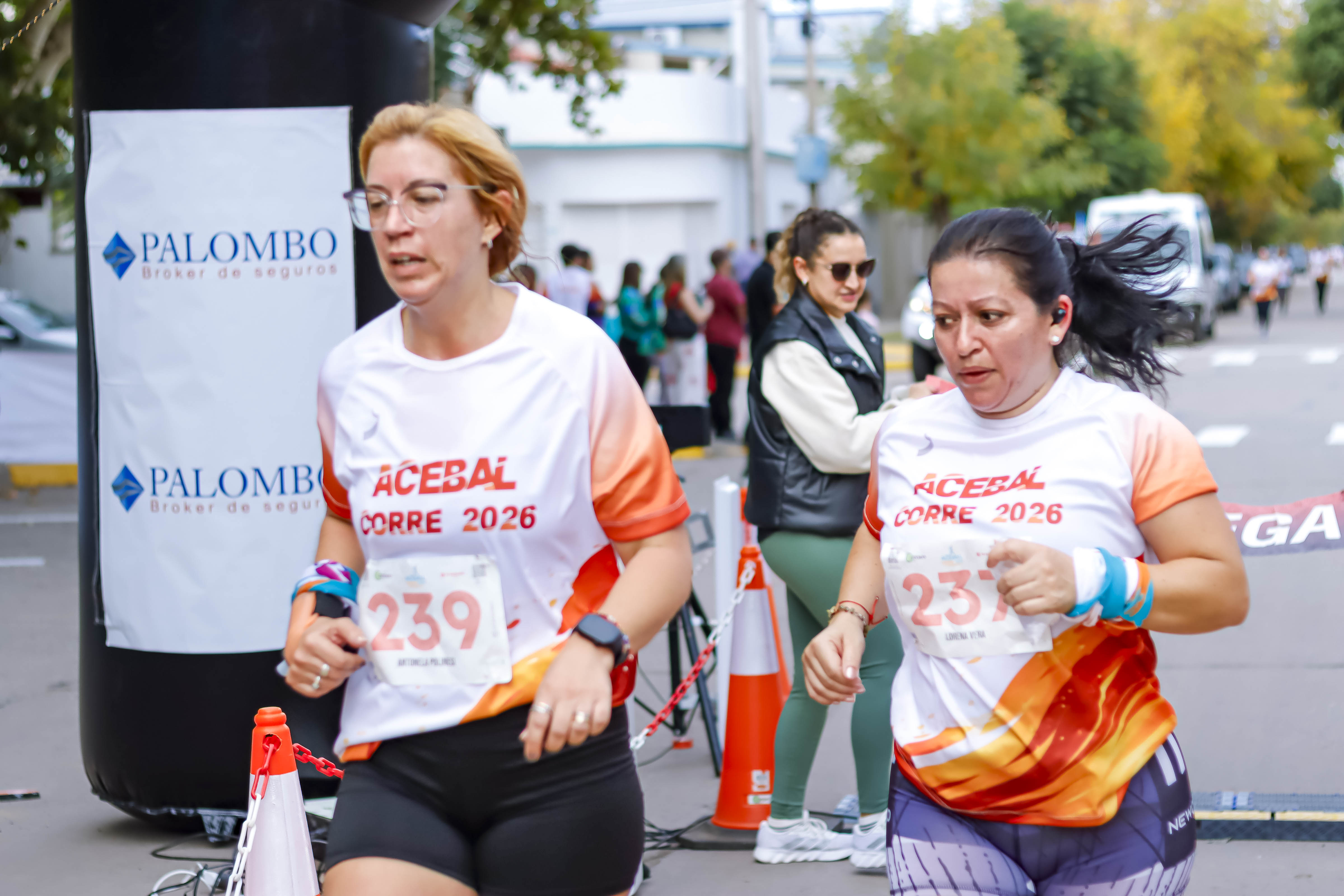 Foto Dorsal 239