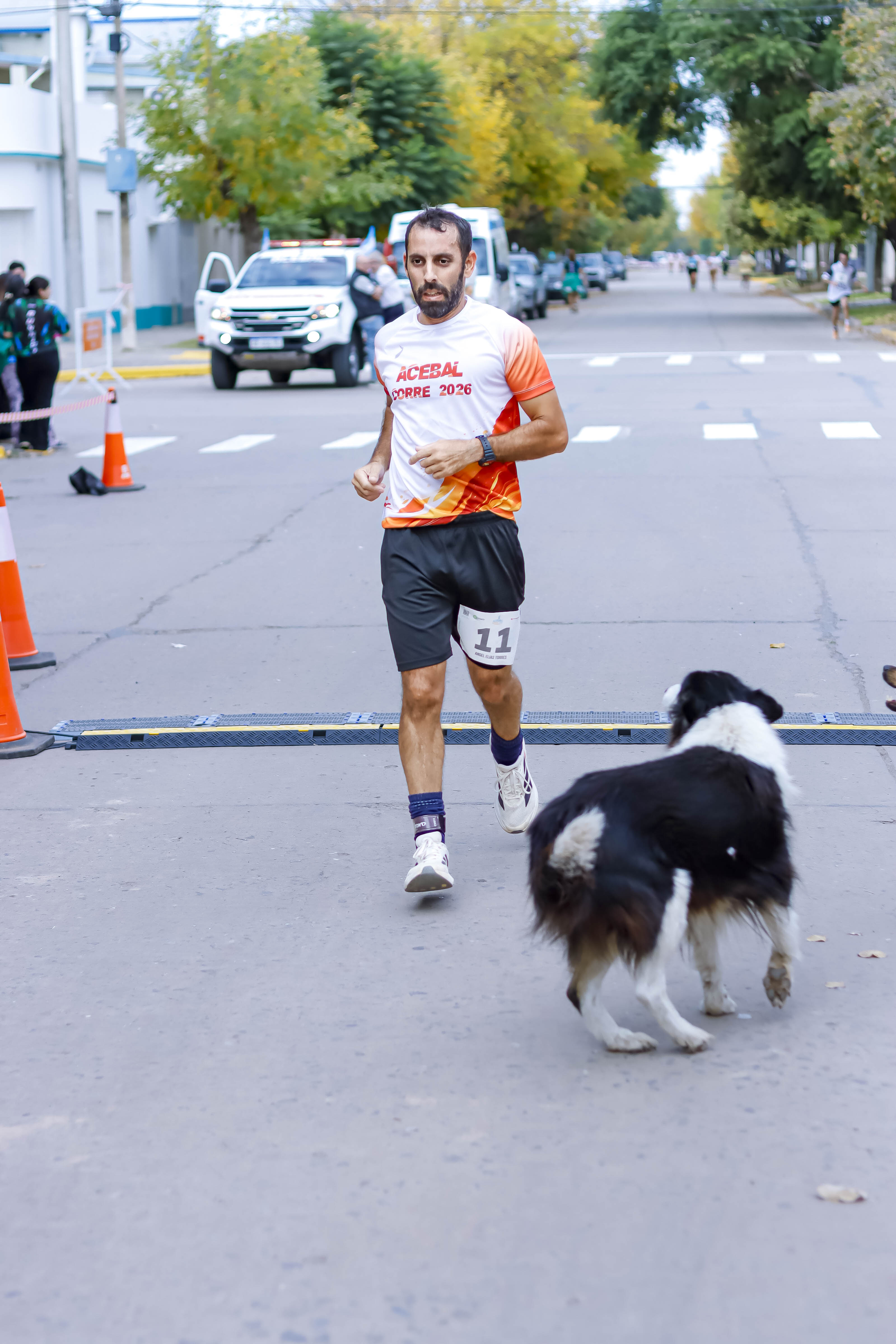 Foto Dorsal 11