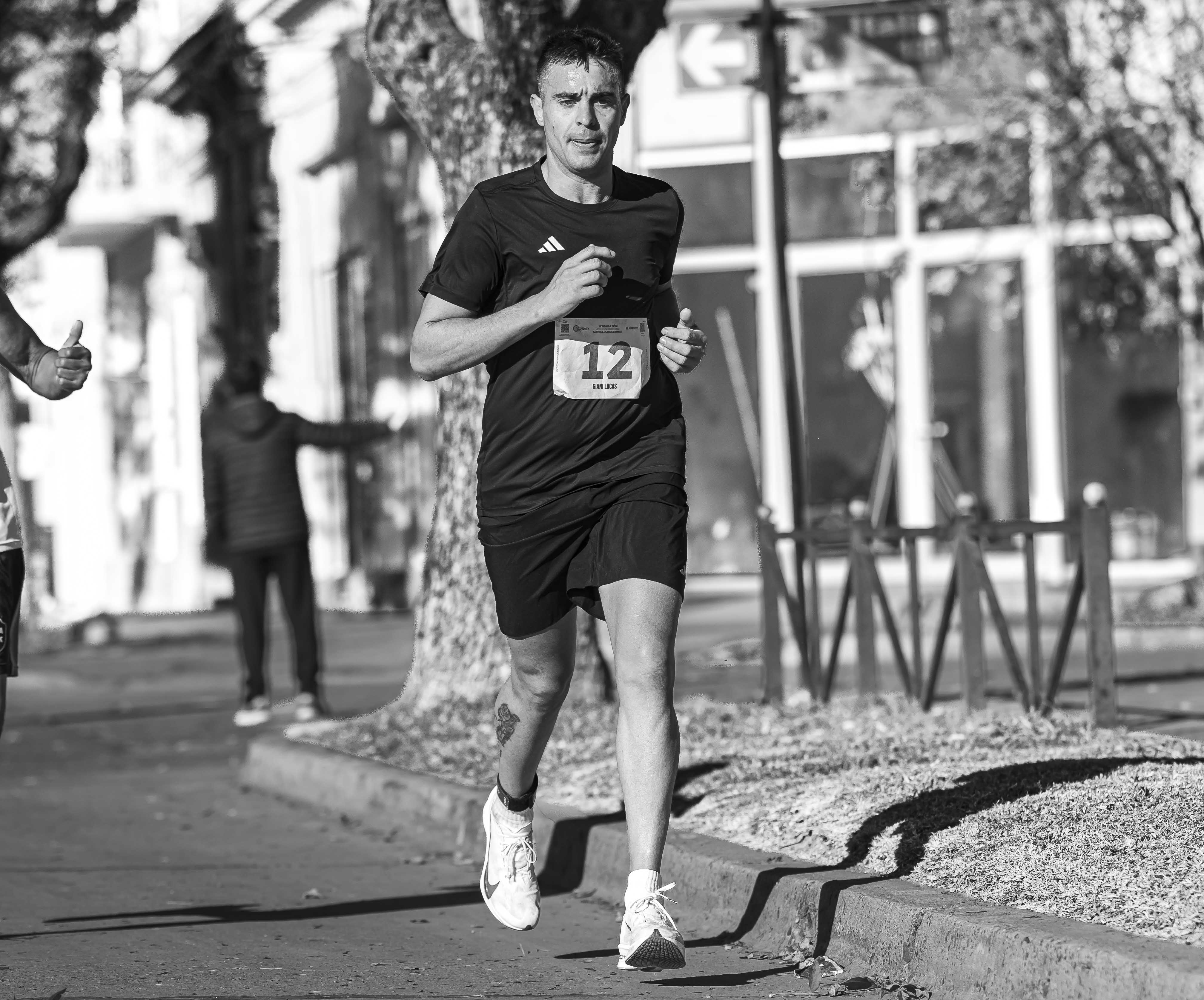 Foto Dorsal 12