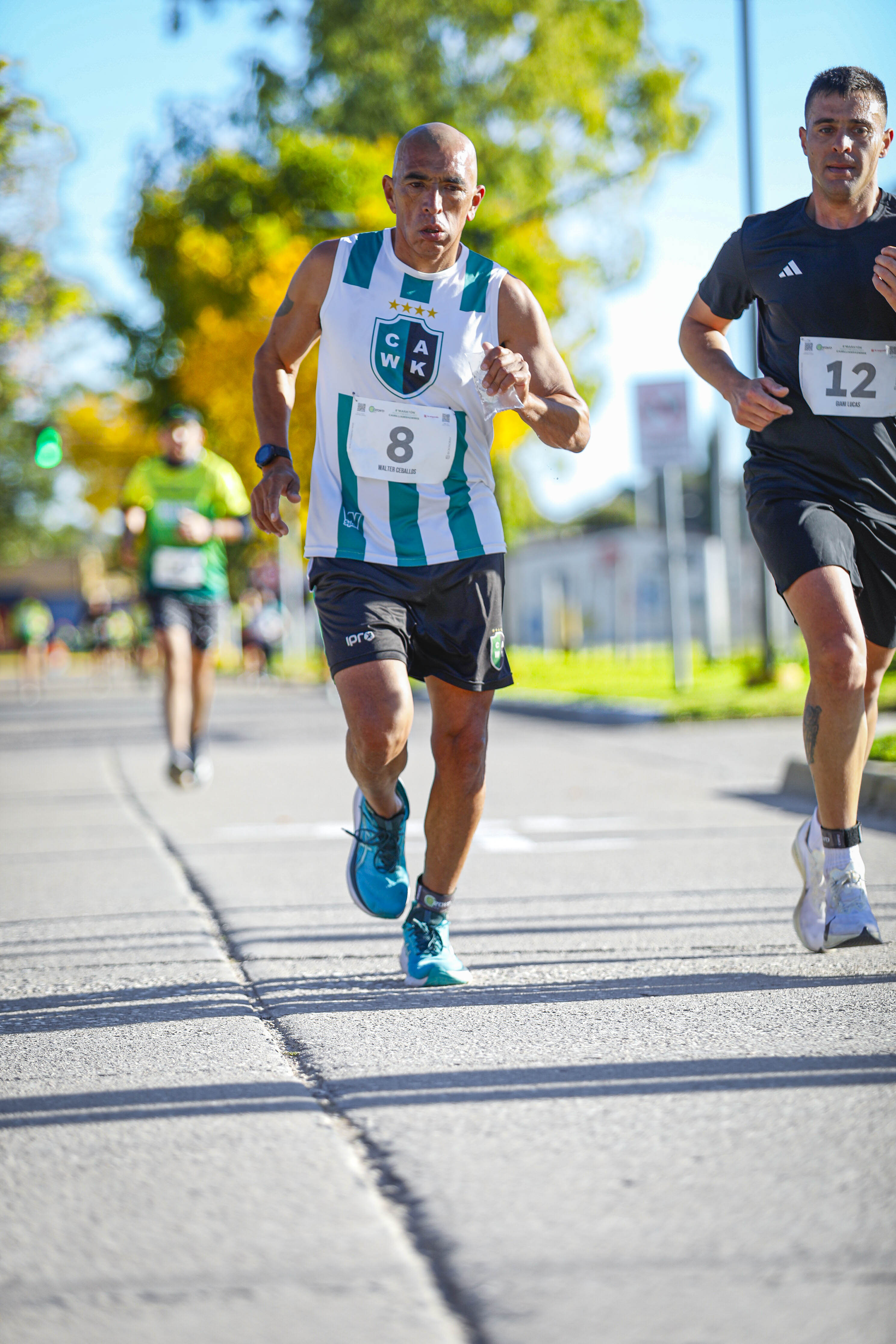 Foto Dorsal 12