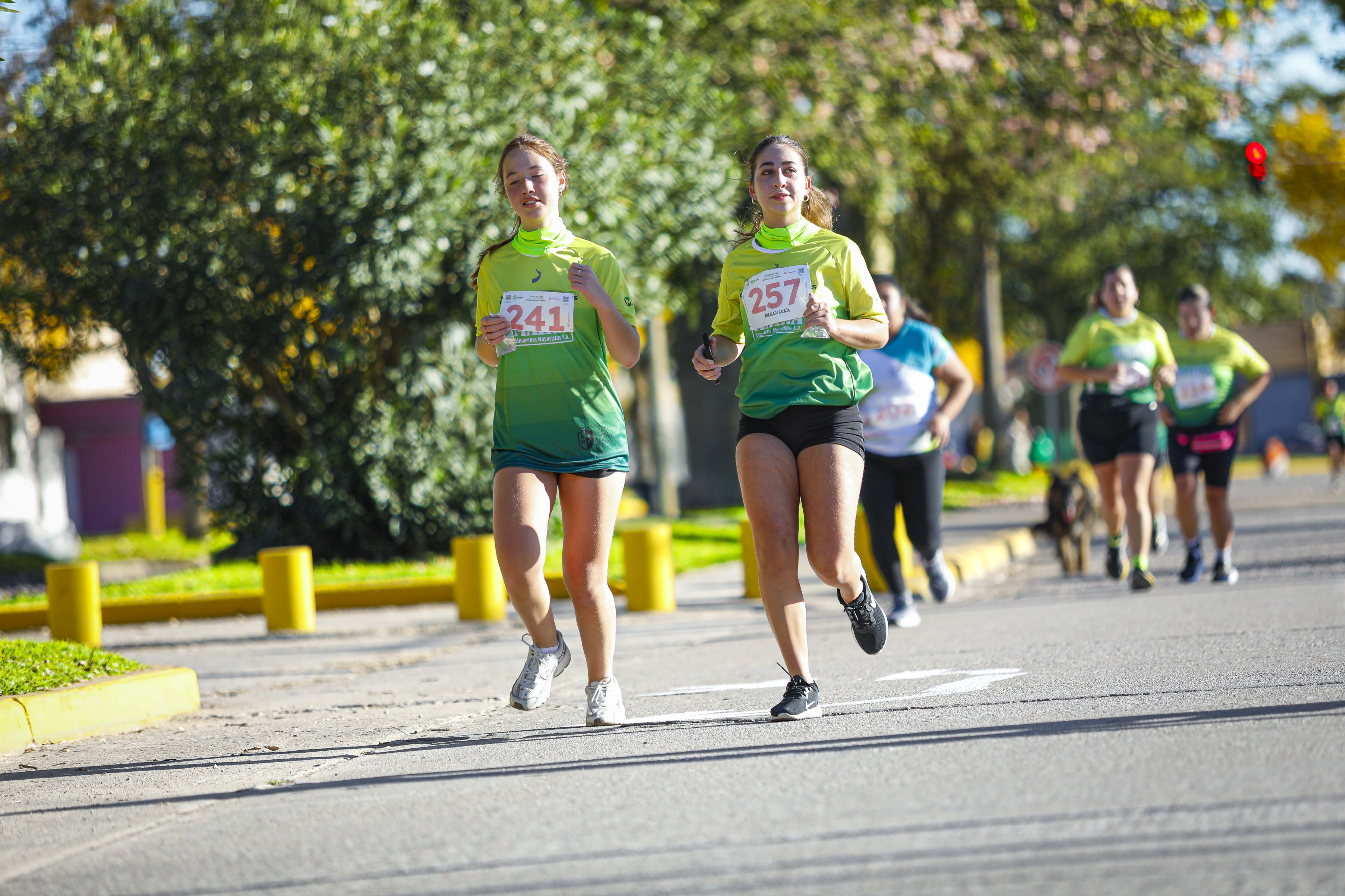 Foto Dorsal 241