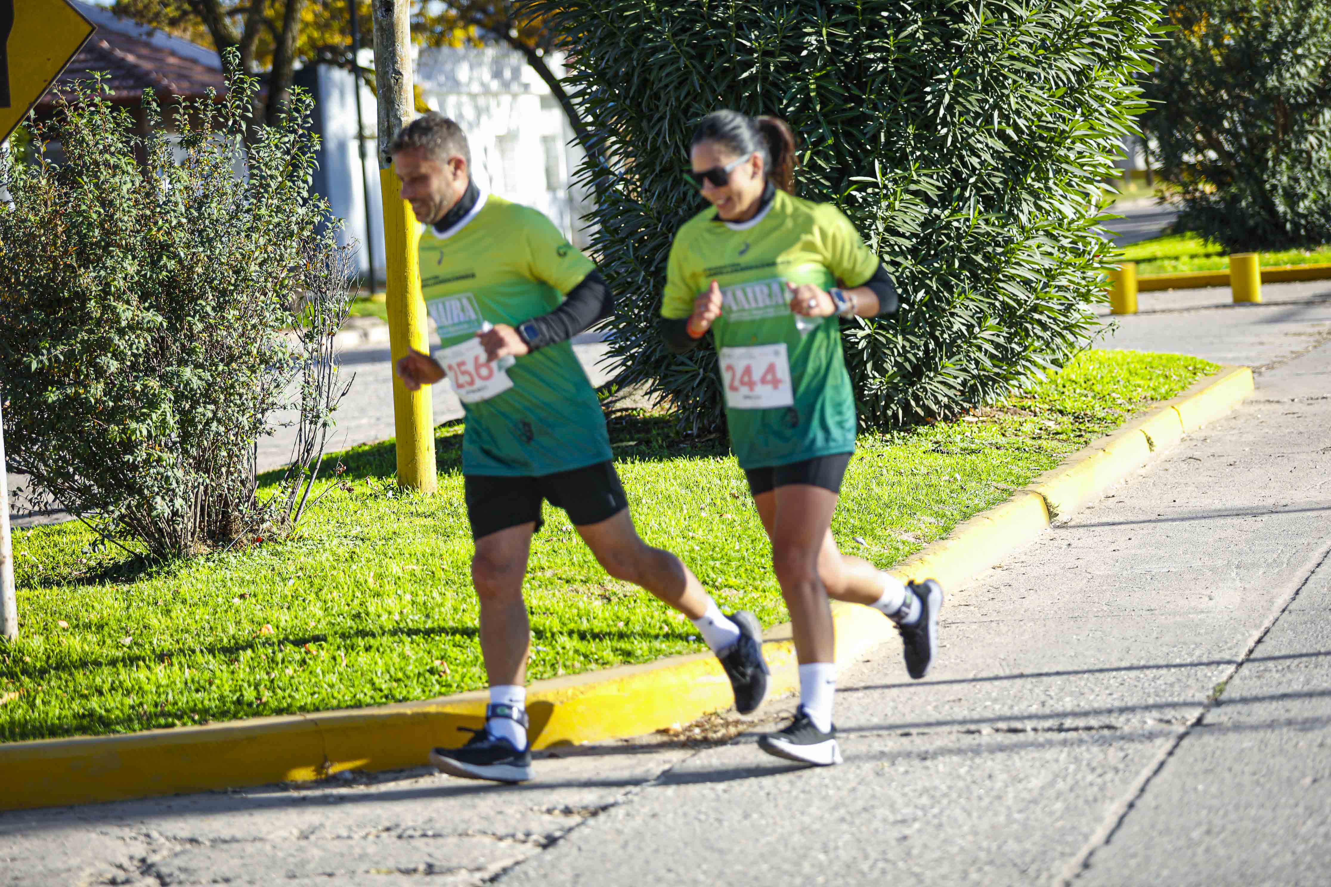 Foto Dorsal 244