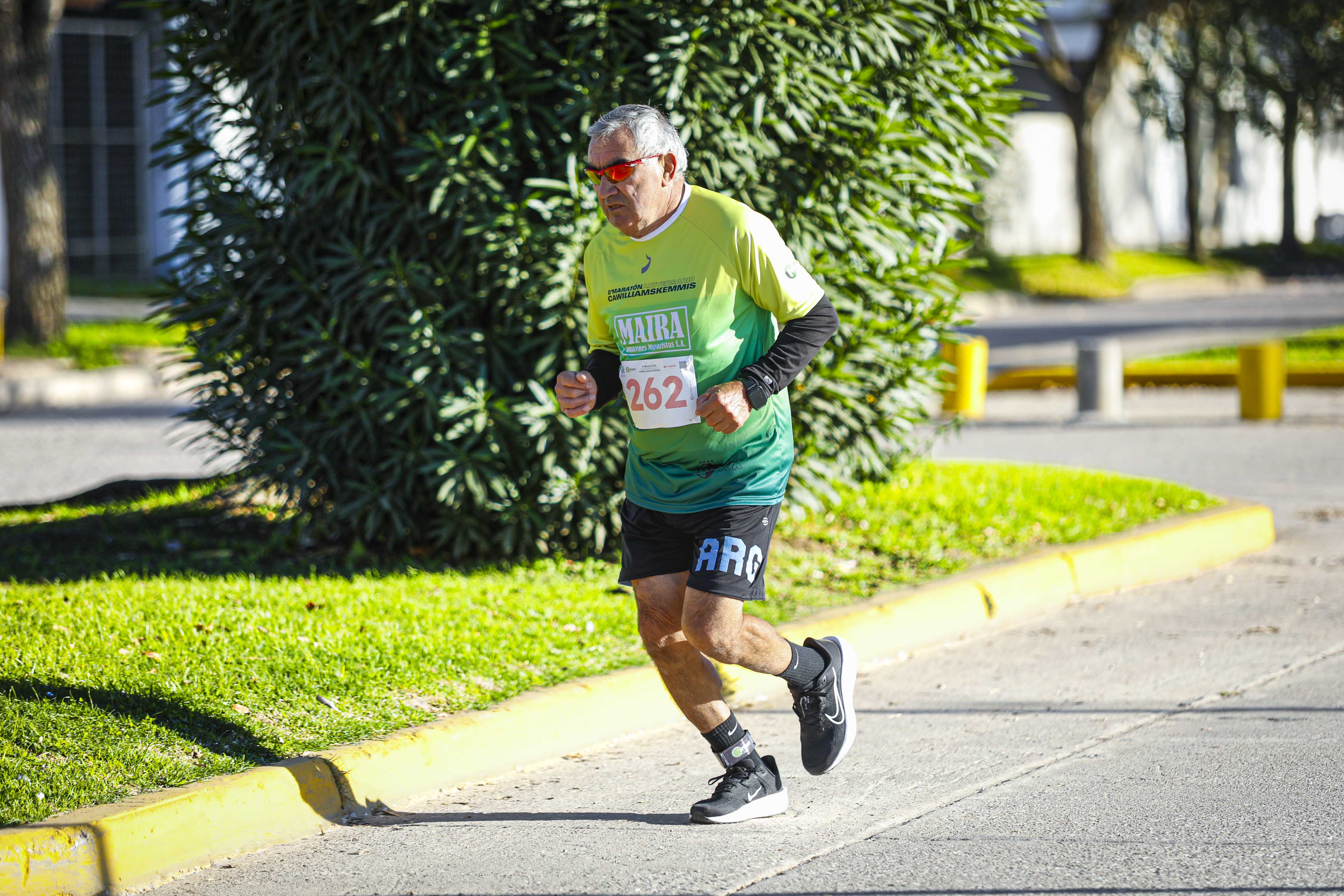 Foto Dorsal 262