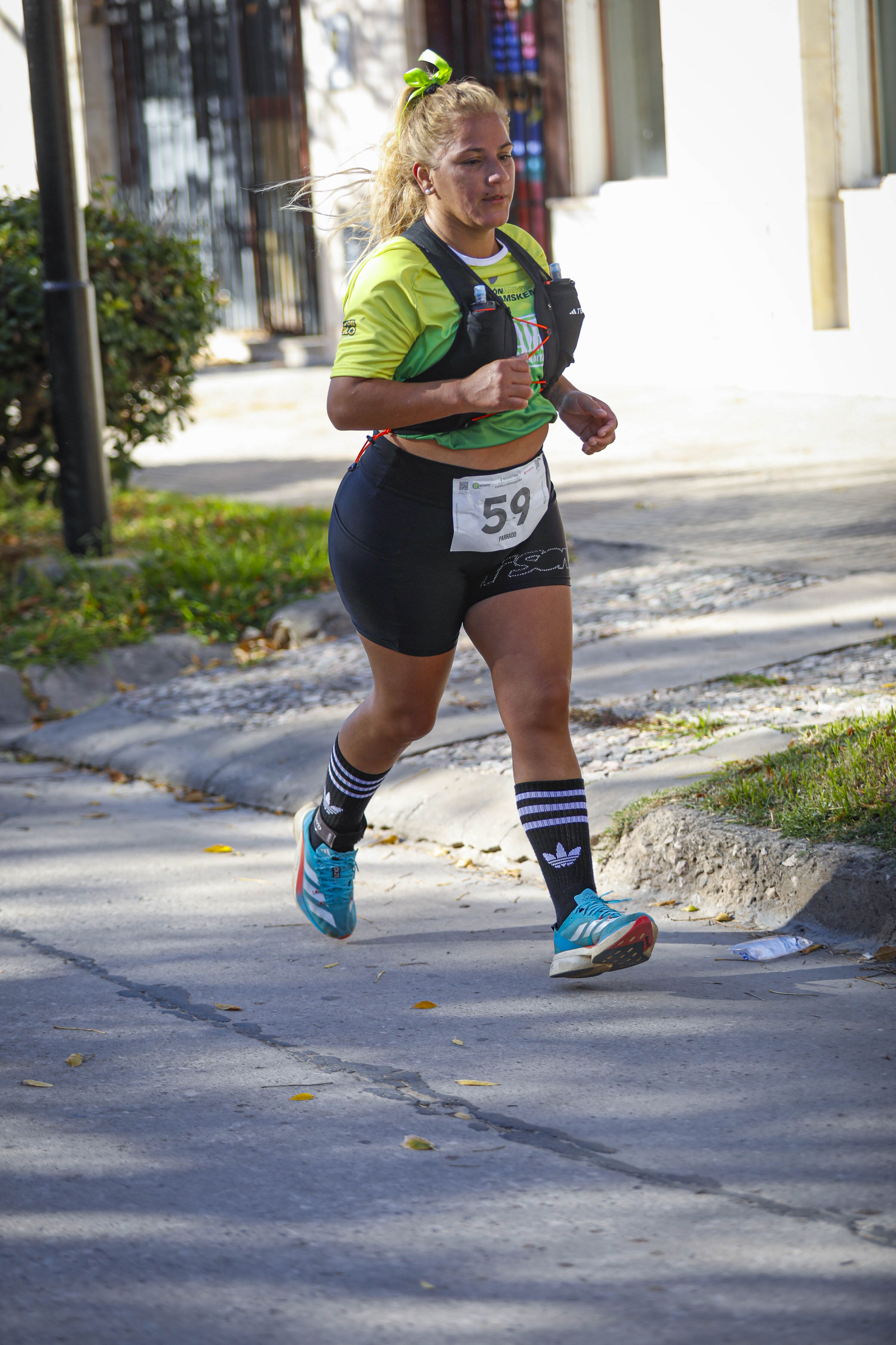 Foto Dorsal 59
