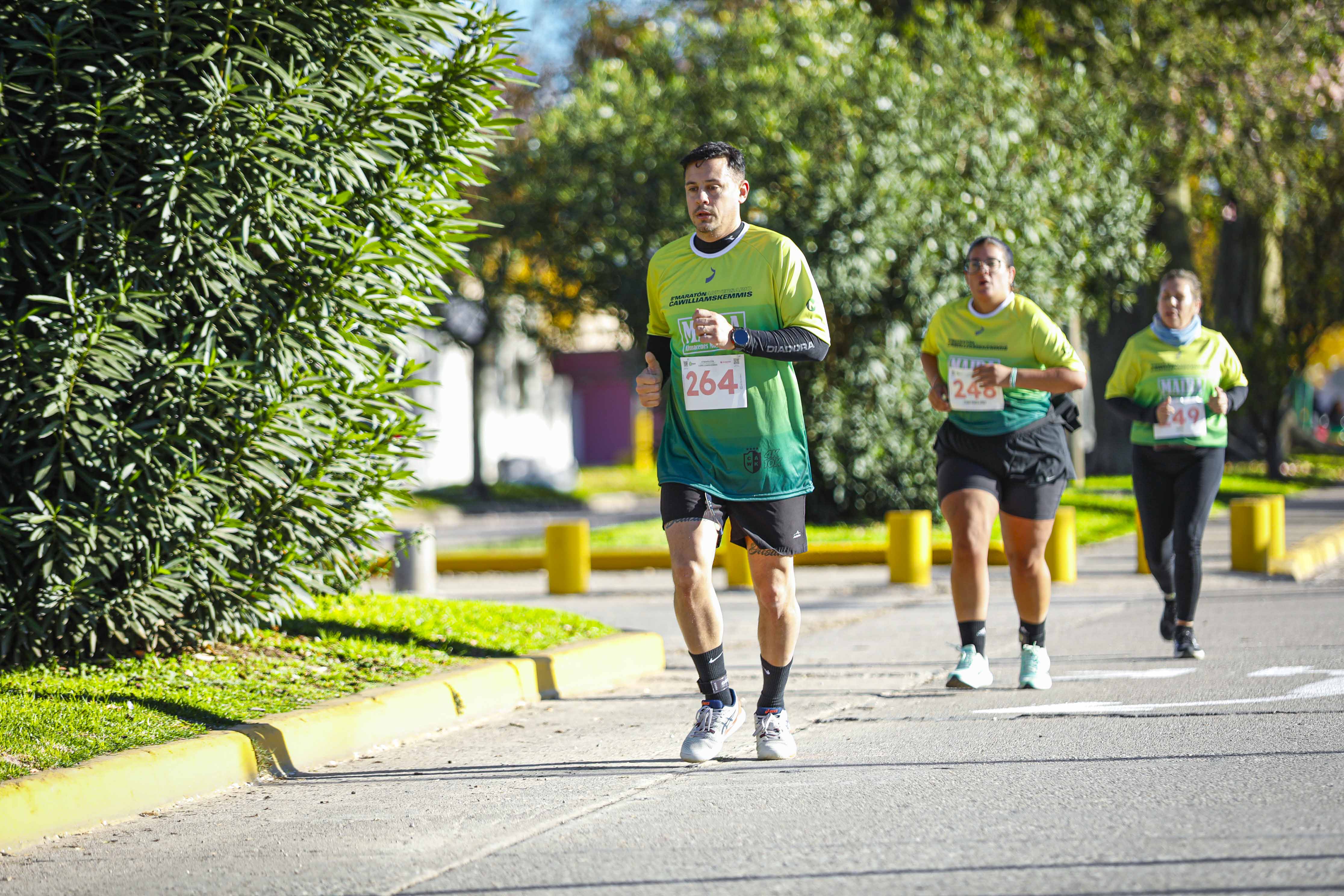 Foto Dorsal 264