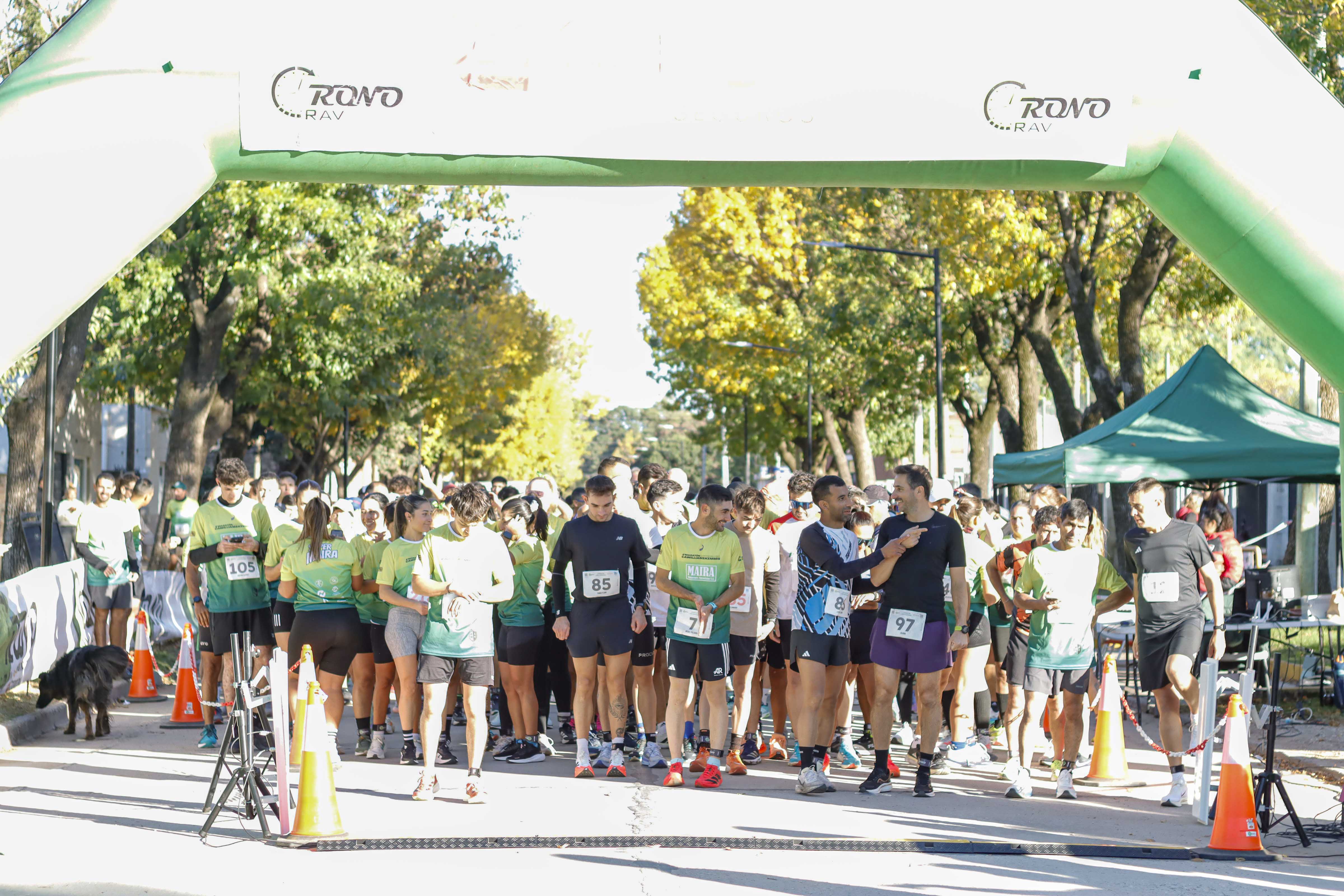 Foto Dorsal 105