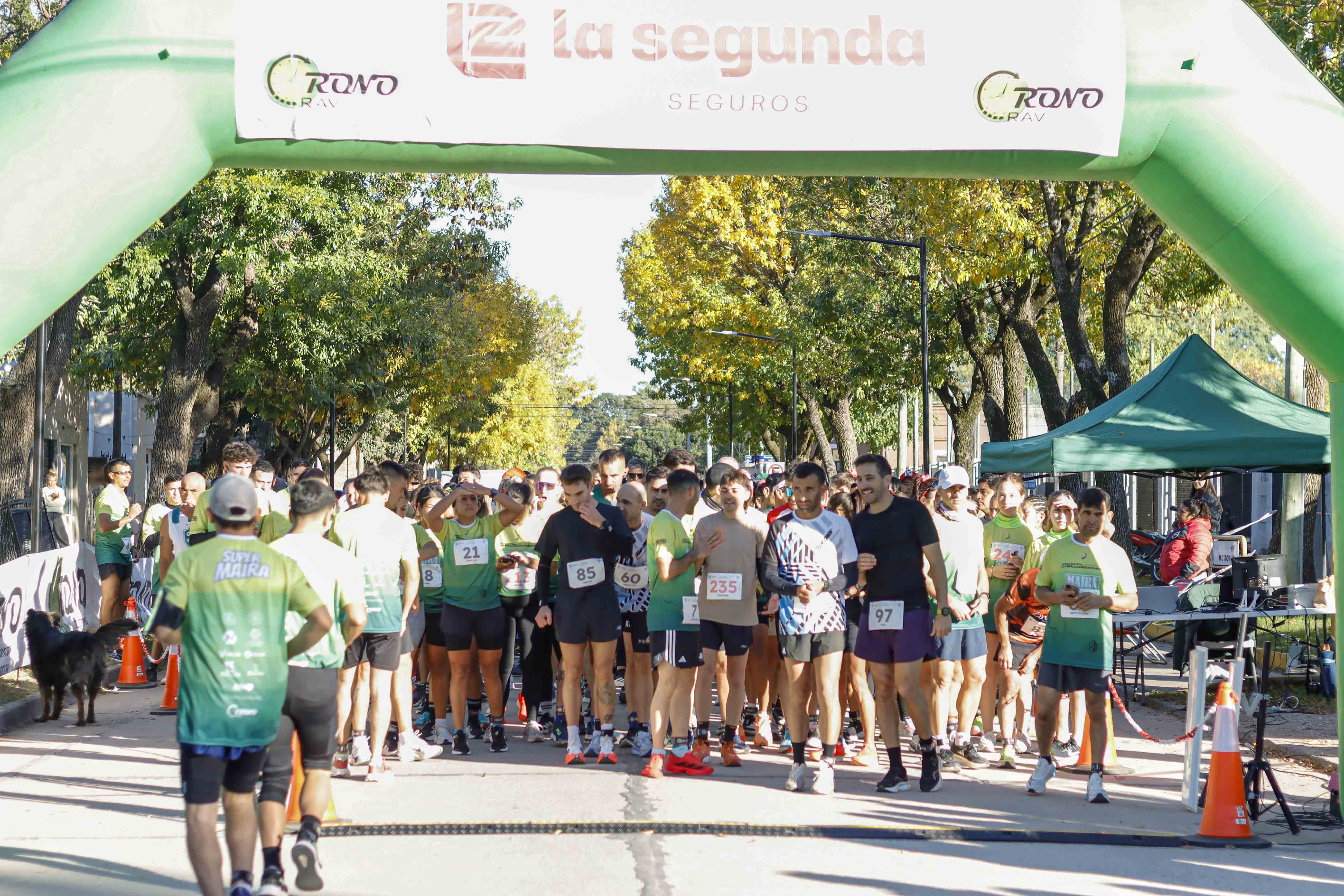 Foto Dorsal 97
