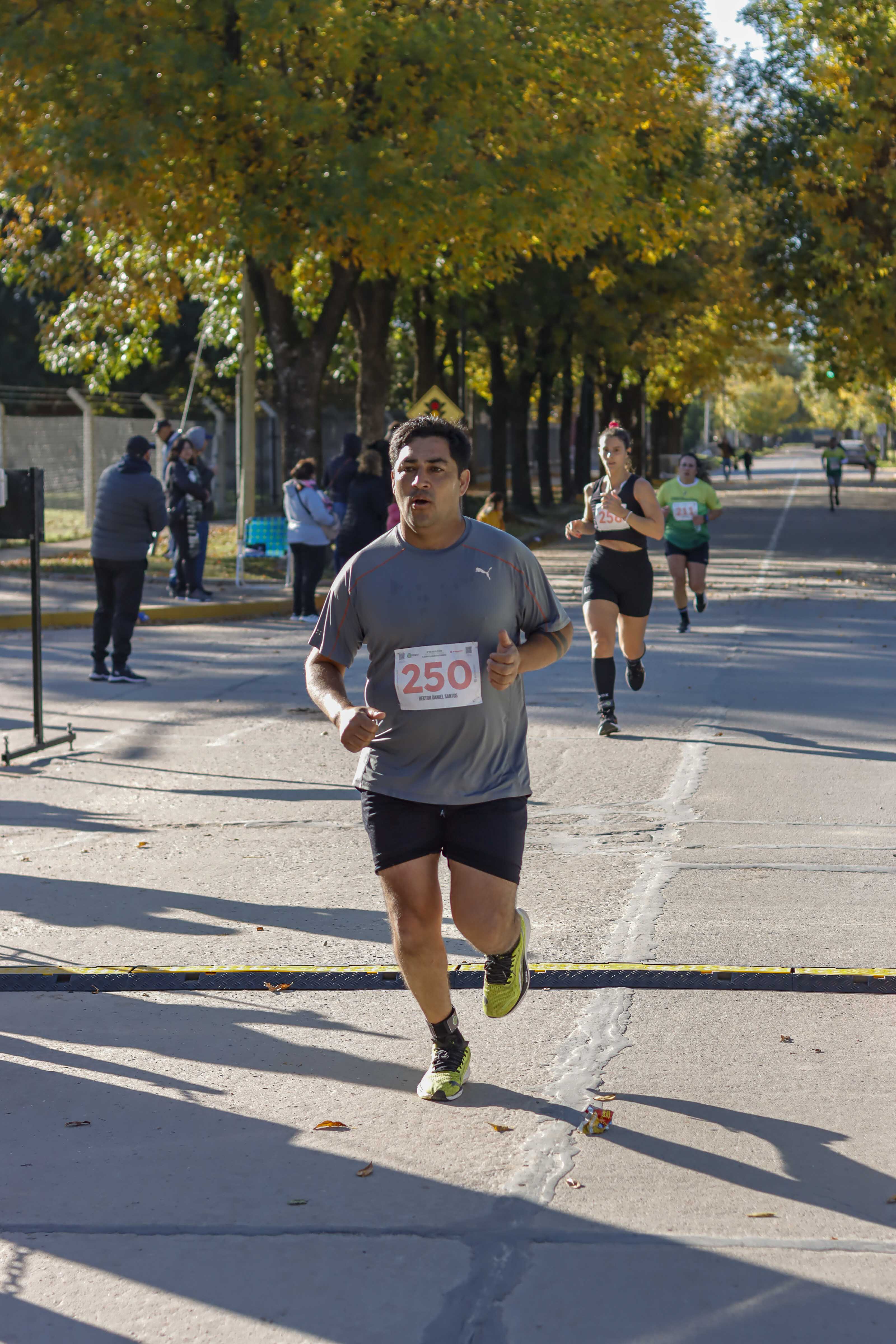 Foto Dorsal 250
