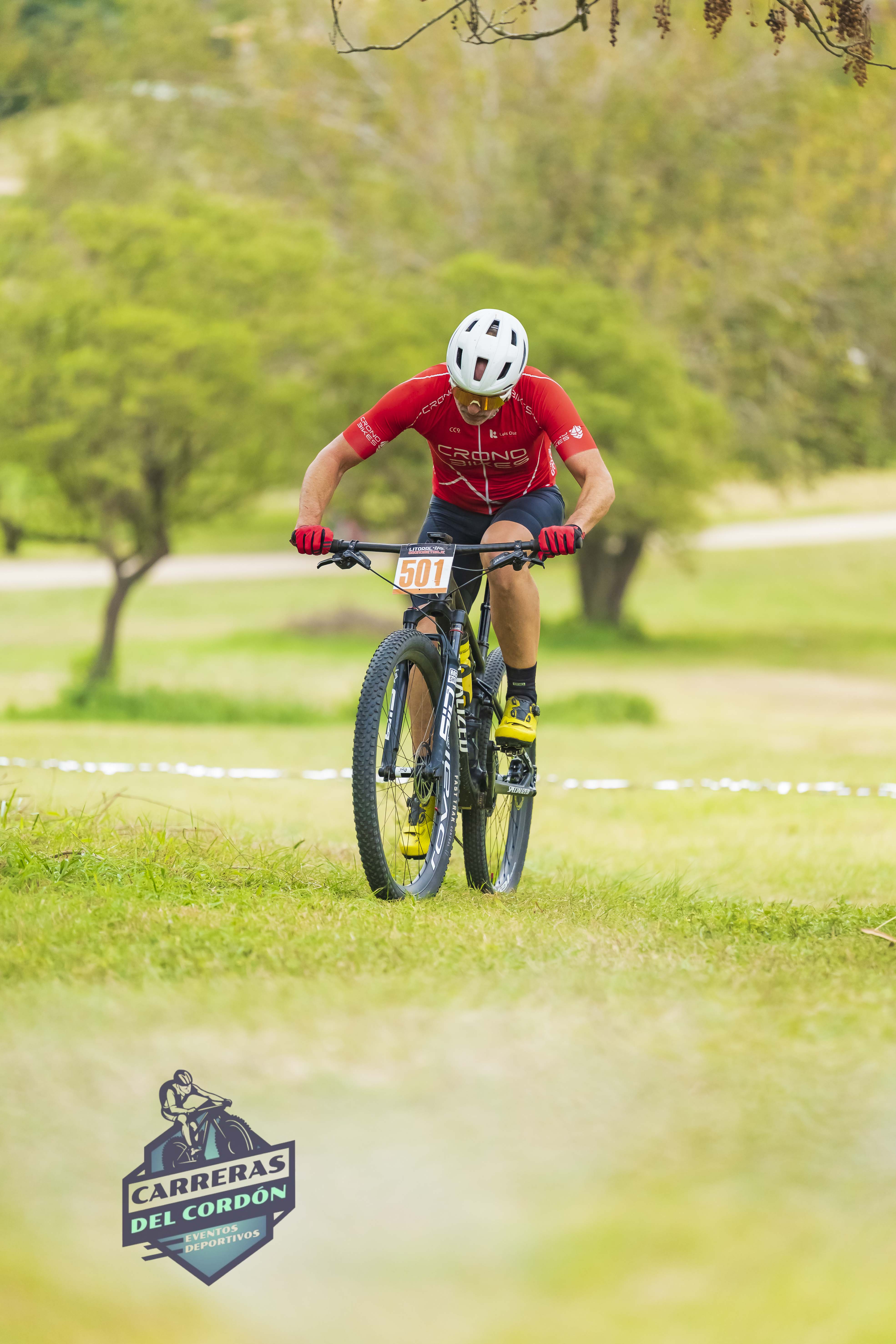 Foto Dorsal 501