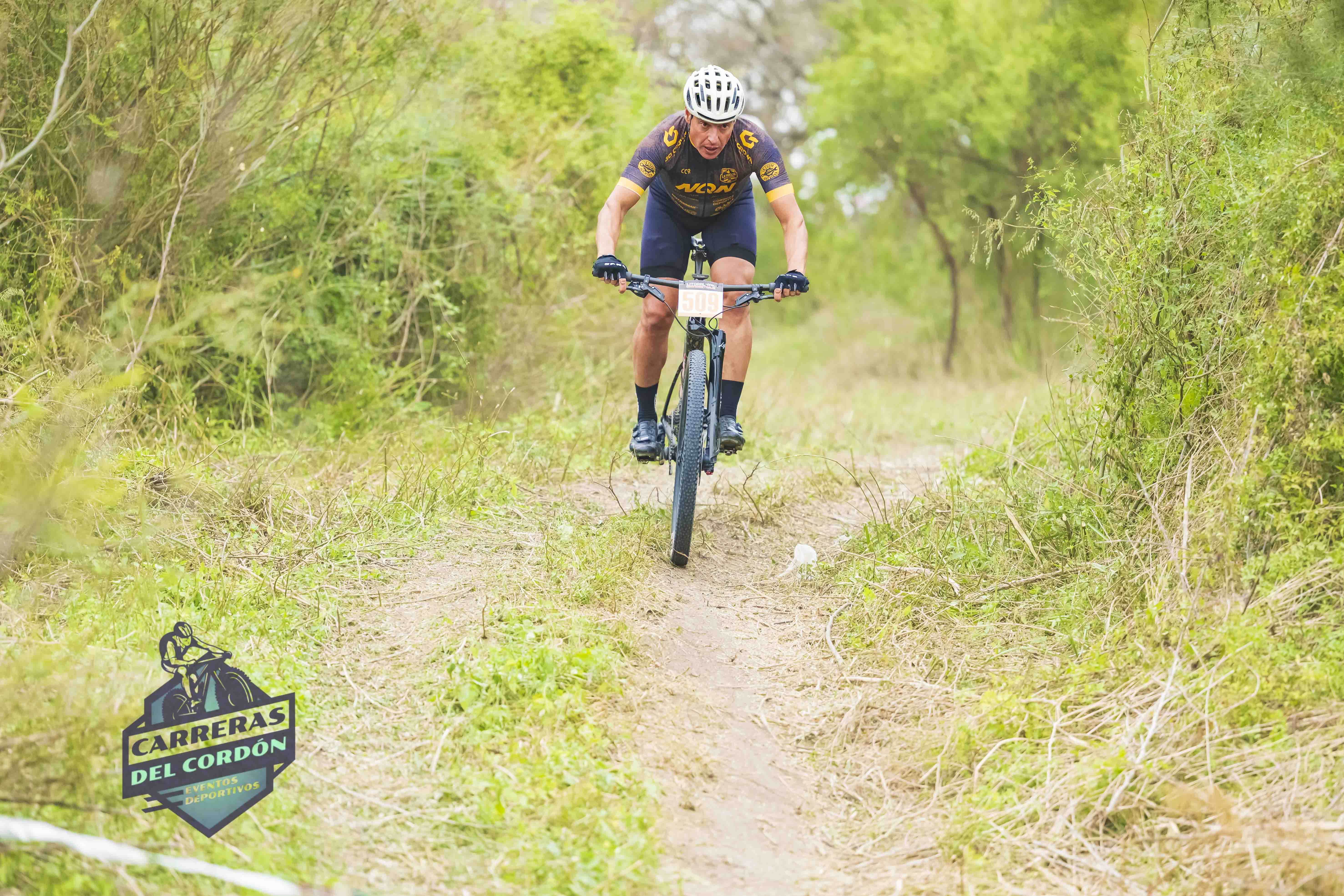 Foto Dorsal 509