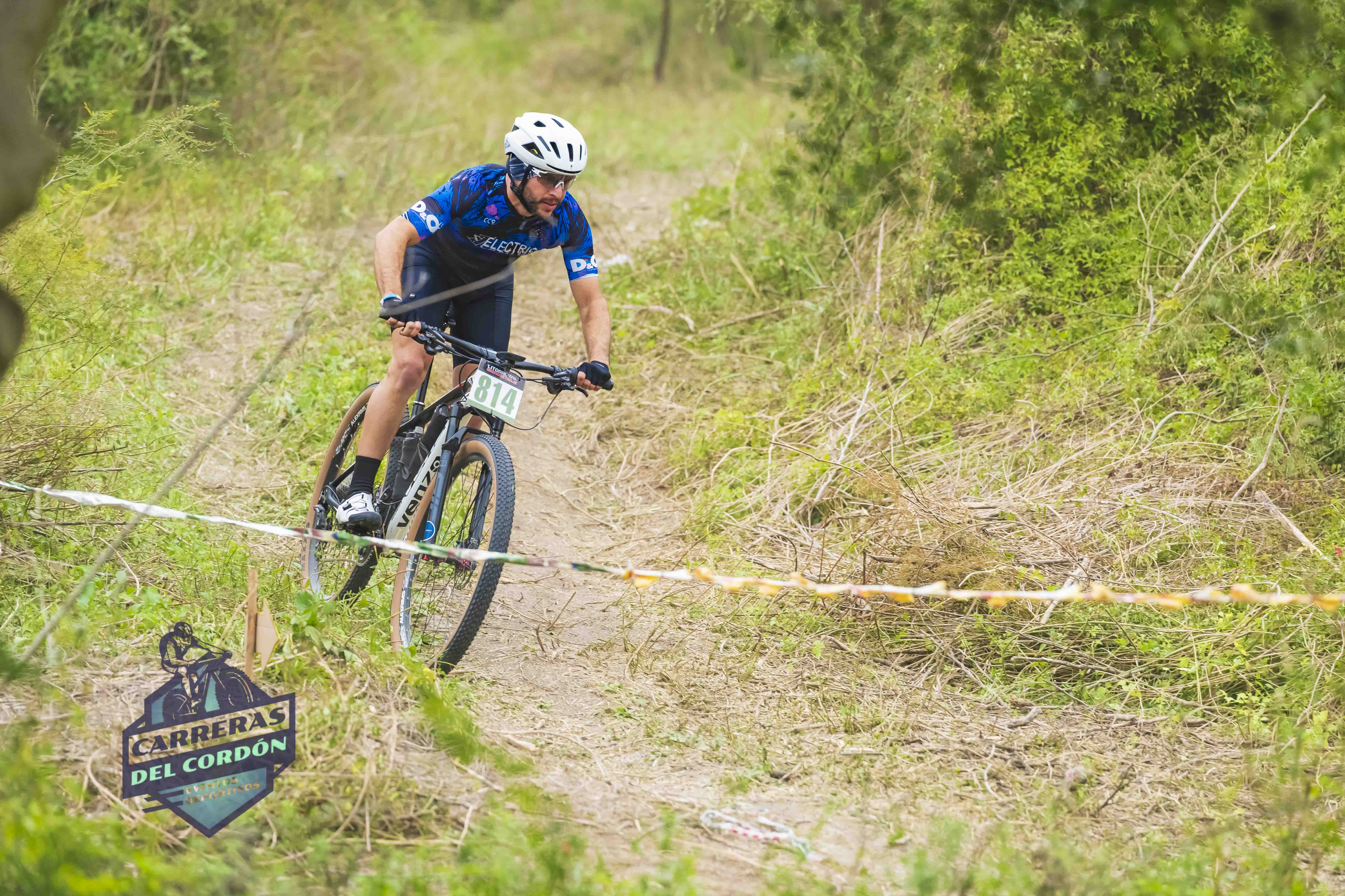 Foto Dorsal 814