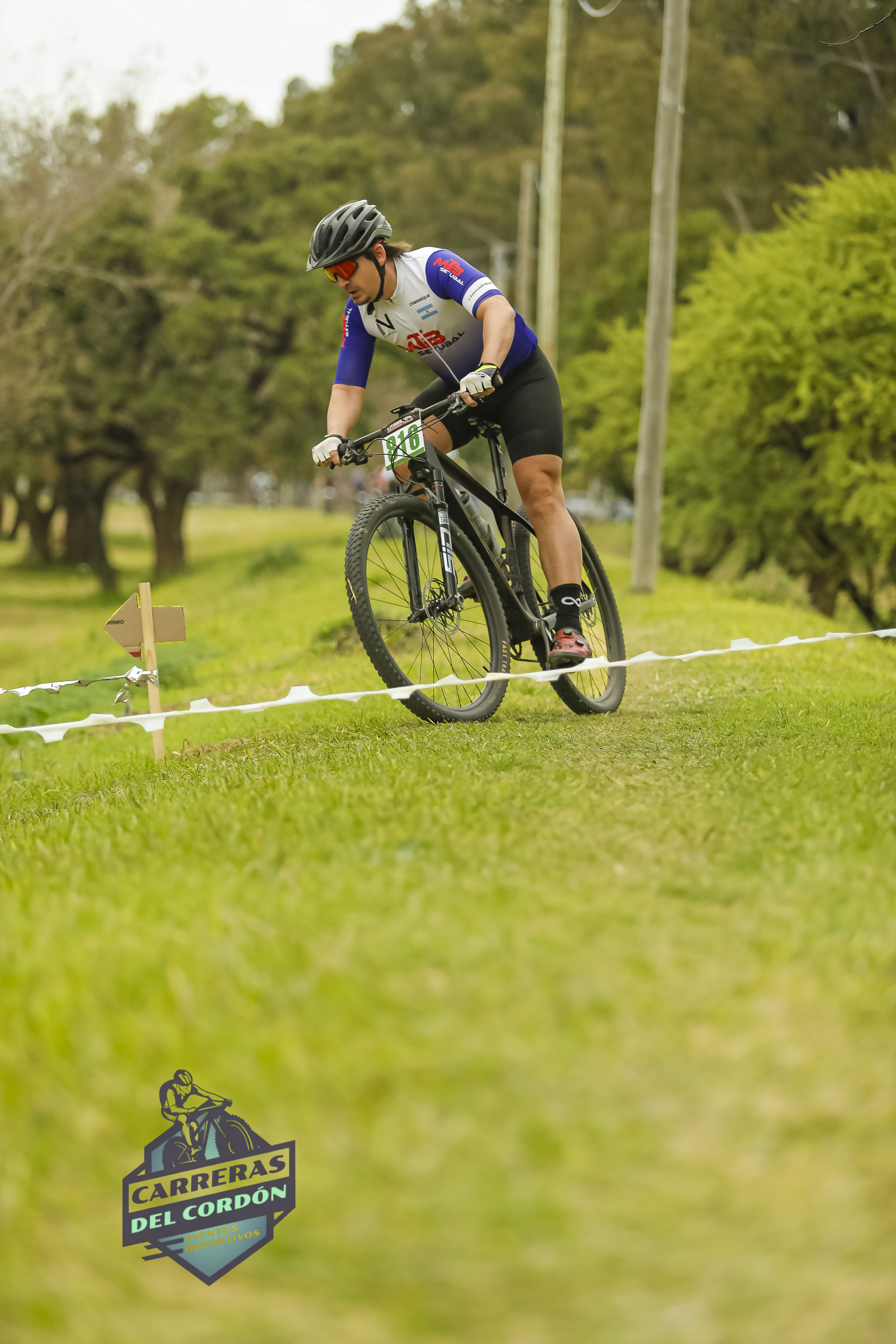 Foto Dorsal 816