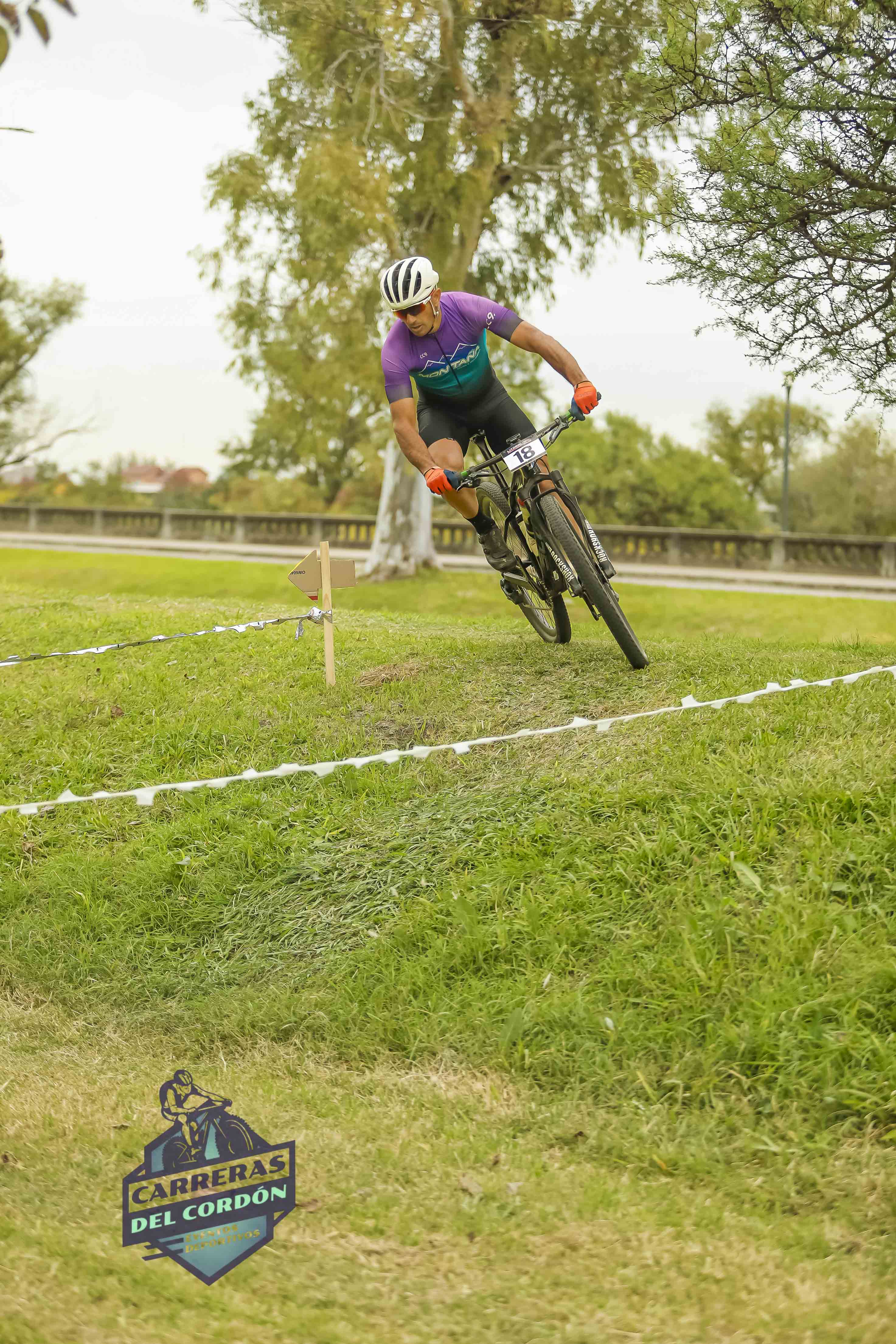 Foto Dorsal 18
