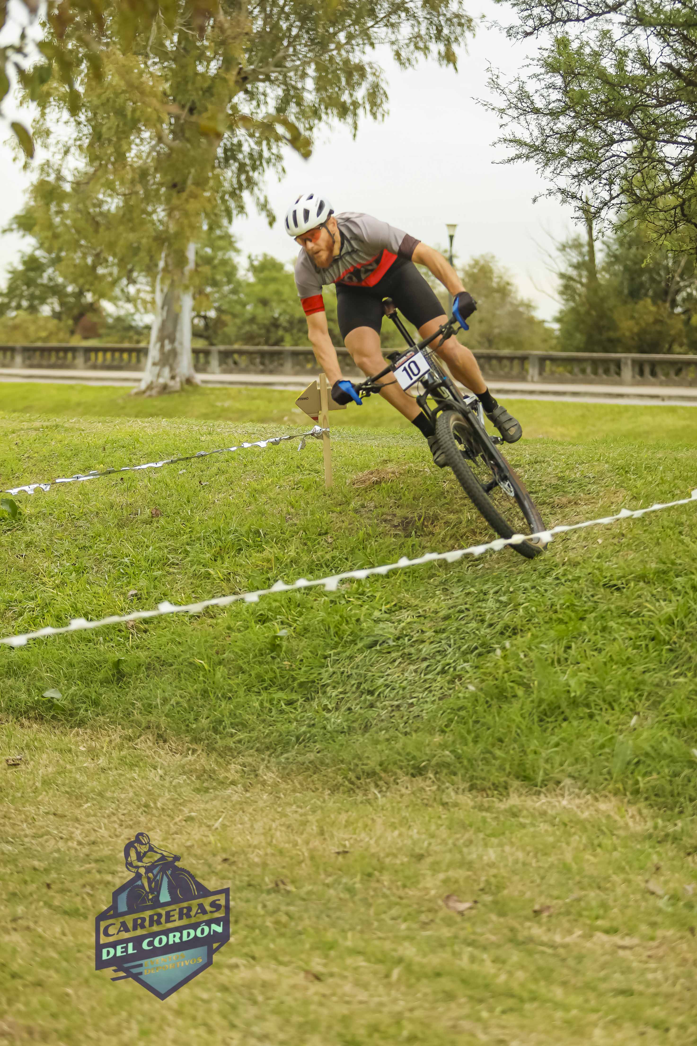 Foto Dorsal 10