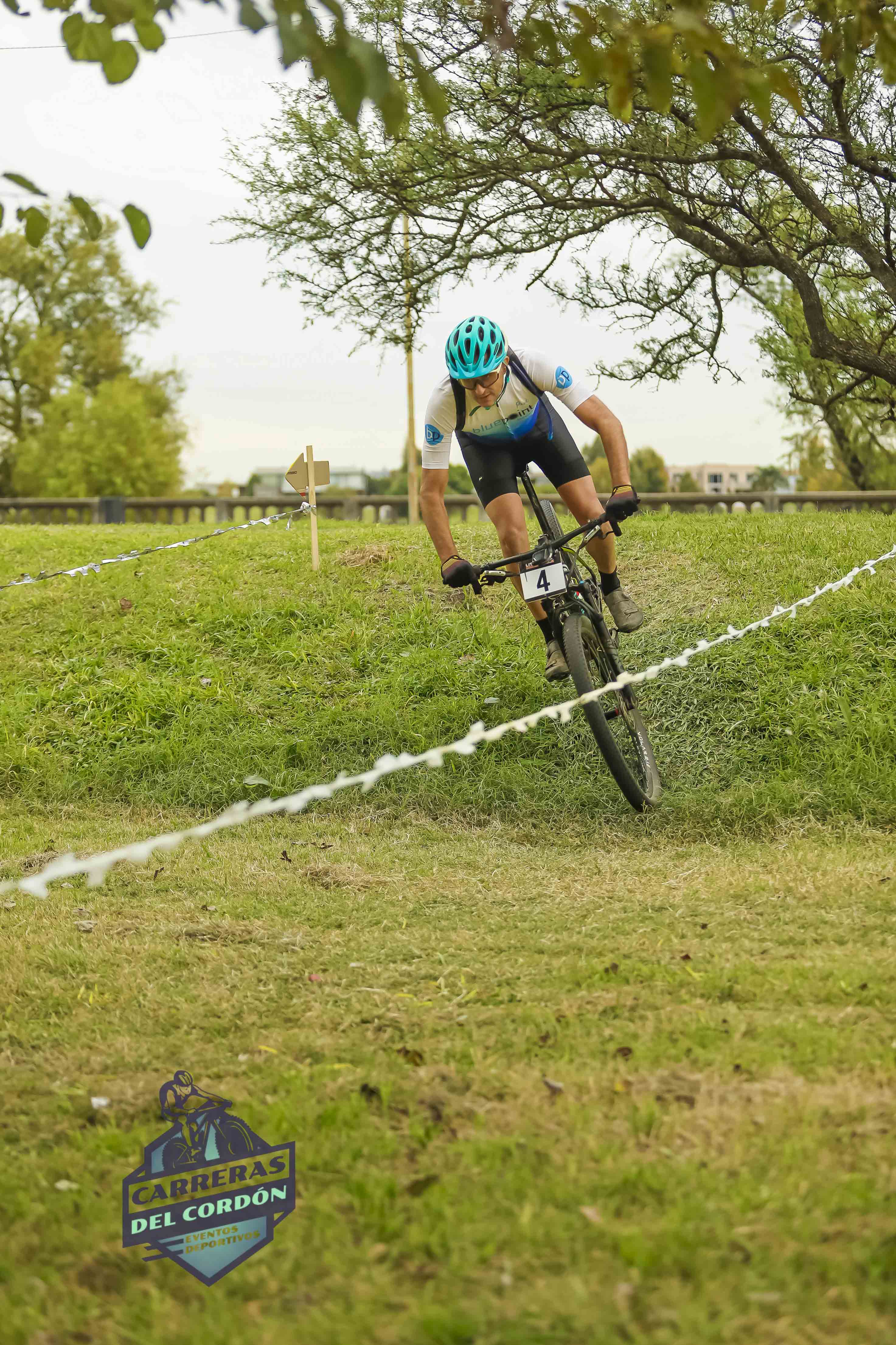 Foto Dorsal 4