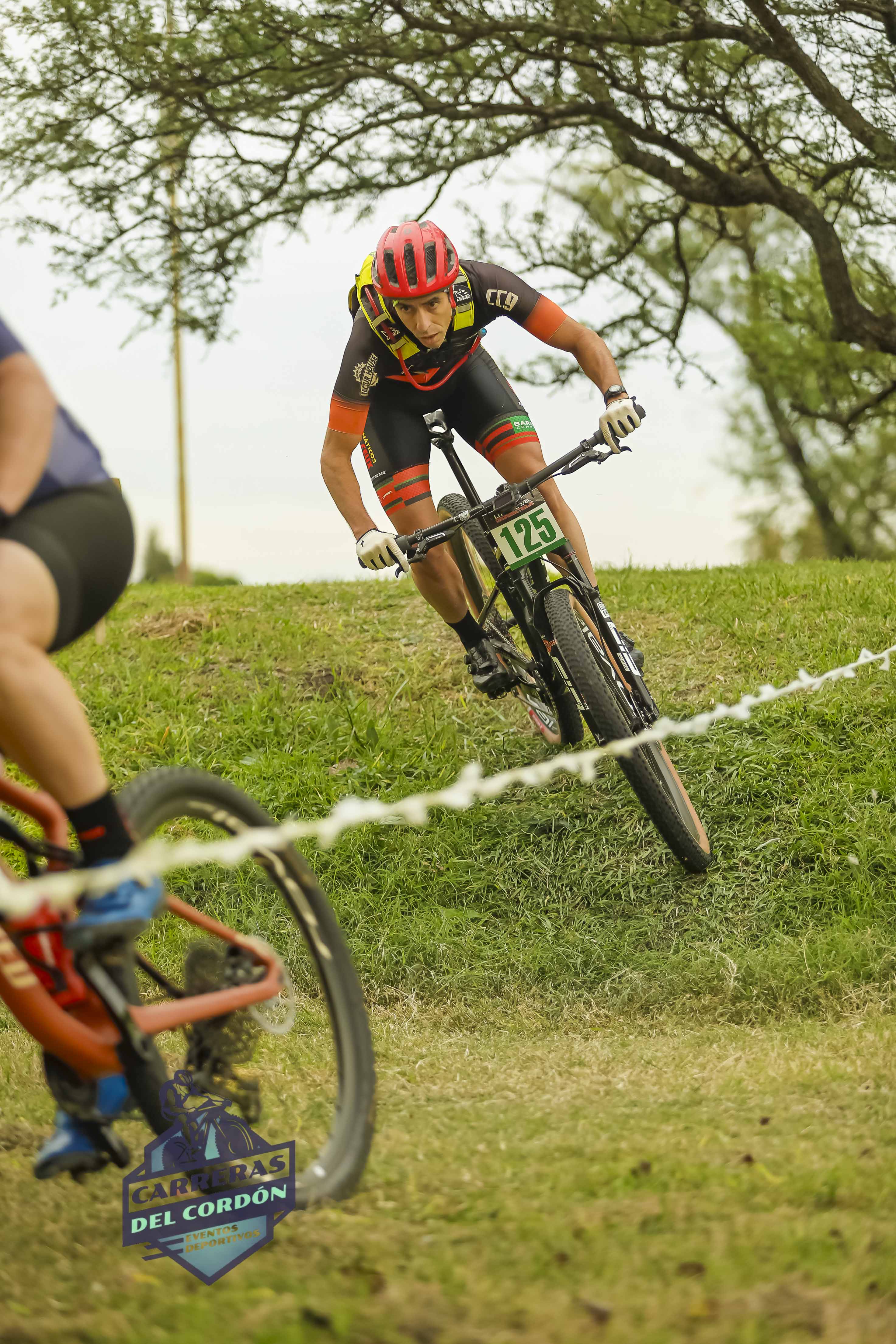 Foto Dorsal 125