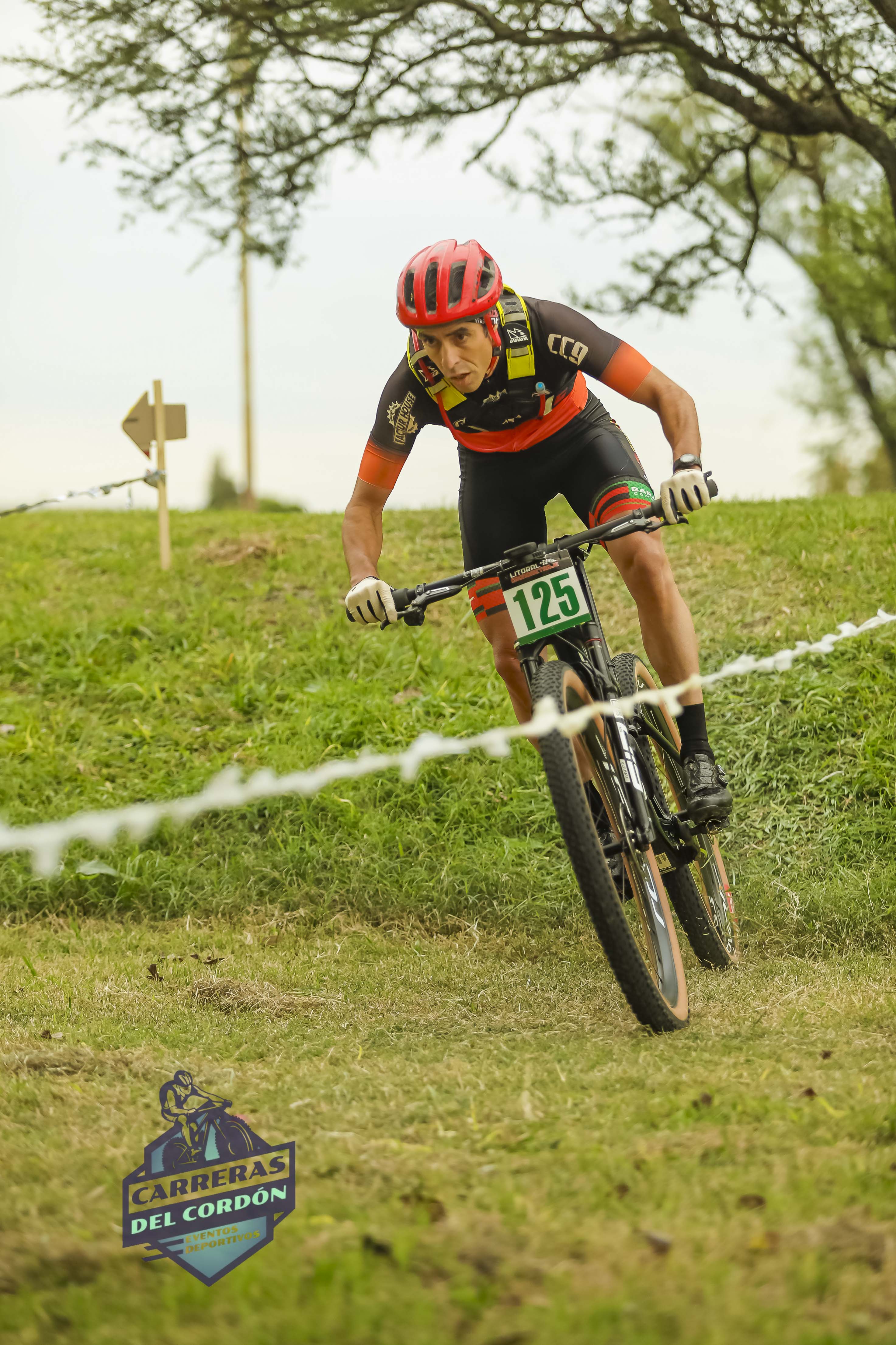 Foto Dorsal 125